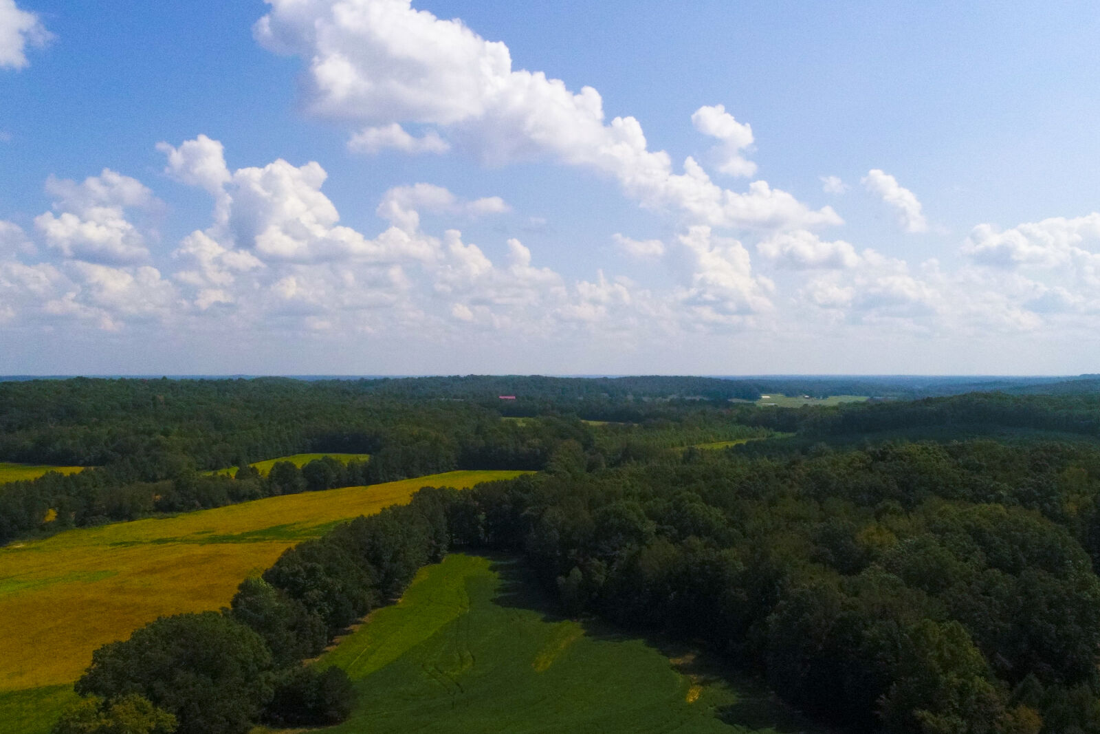 DJI FC6310 sample photo