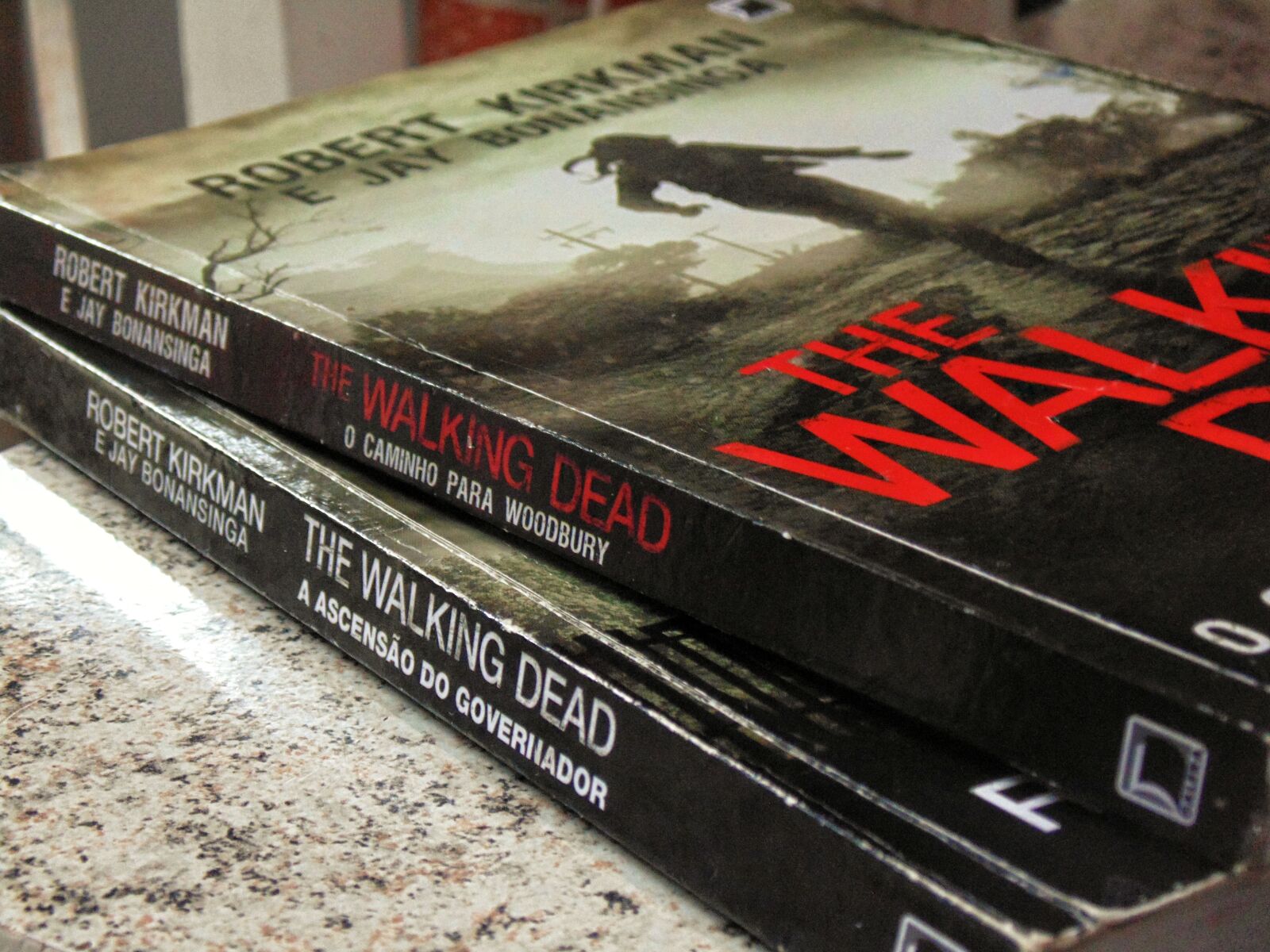 Sony Cyber-shot DSC-H200 sample photo. Books, the walking dead photography