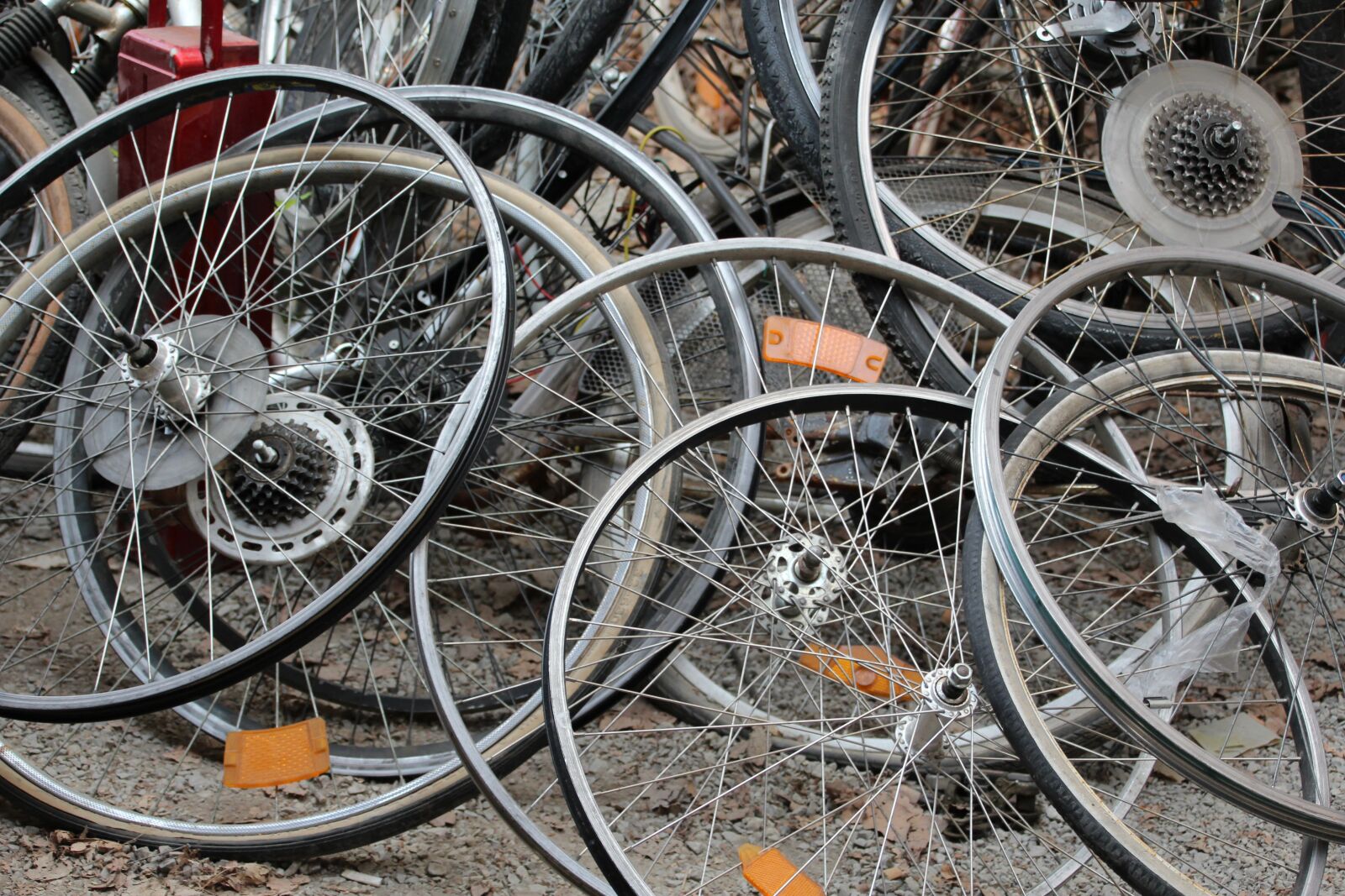 Canon EOS 1200D (EOS Rebel T5 / EOS Kiss X70 / EOS Hi) sample photo. Bike, wheels, wheel photography