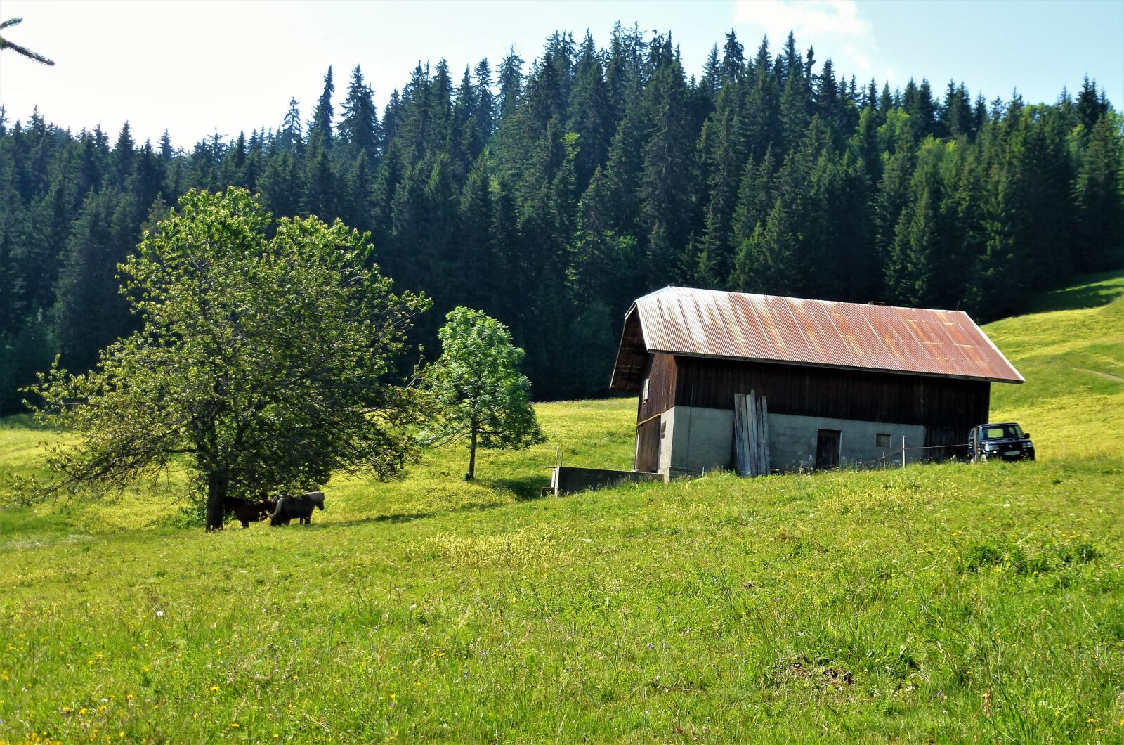 Panasonic Lumix DMC-ZS10 (Lumix DMC-TZ20 / Lumix DMC-TZ22) sample photo. Alpe farm, breeding, wood photography