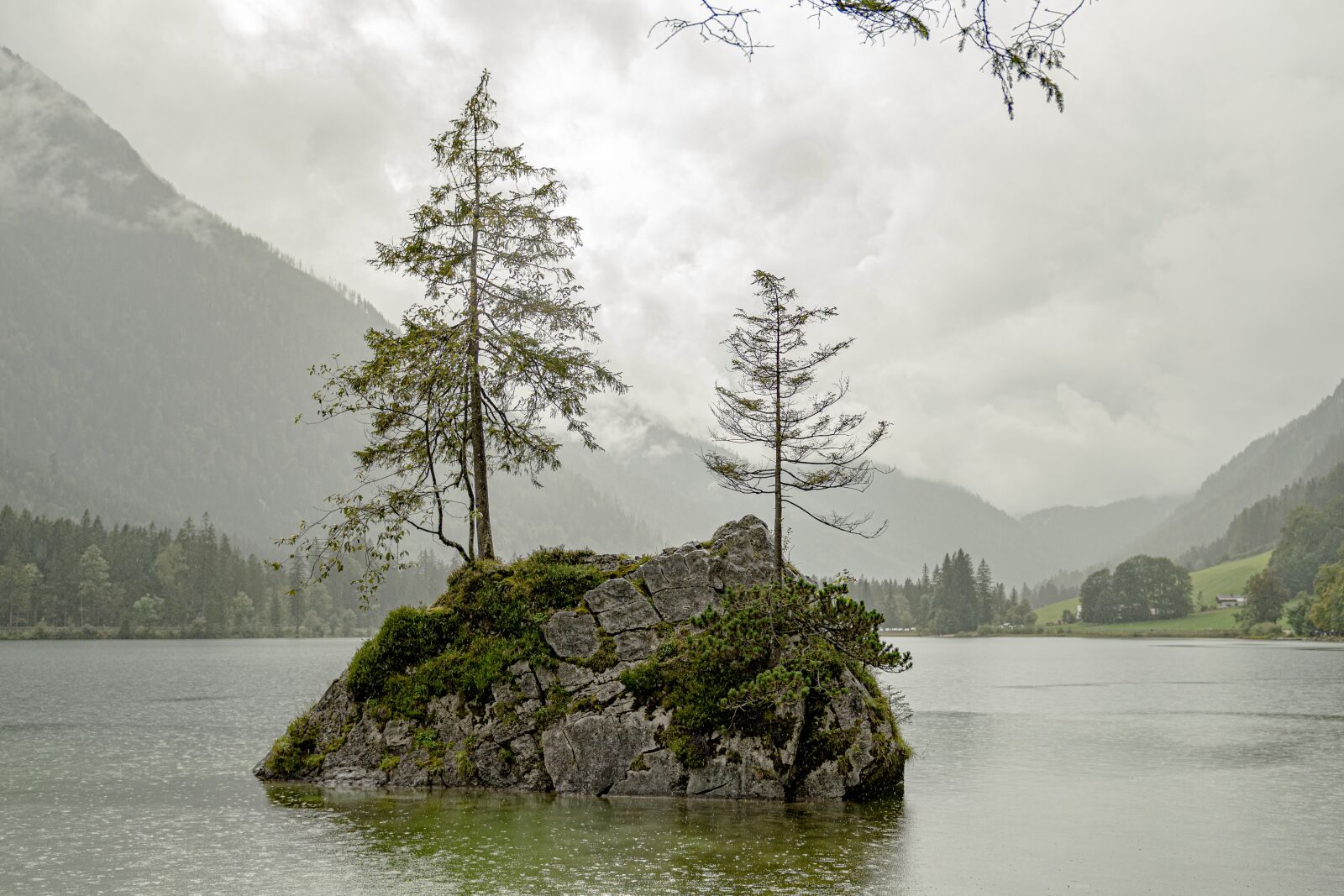 Nikon D500 sample photo. Rocks, lake, trees photography
