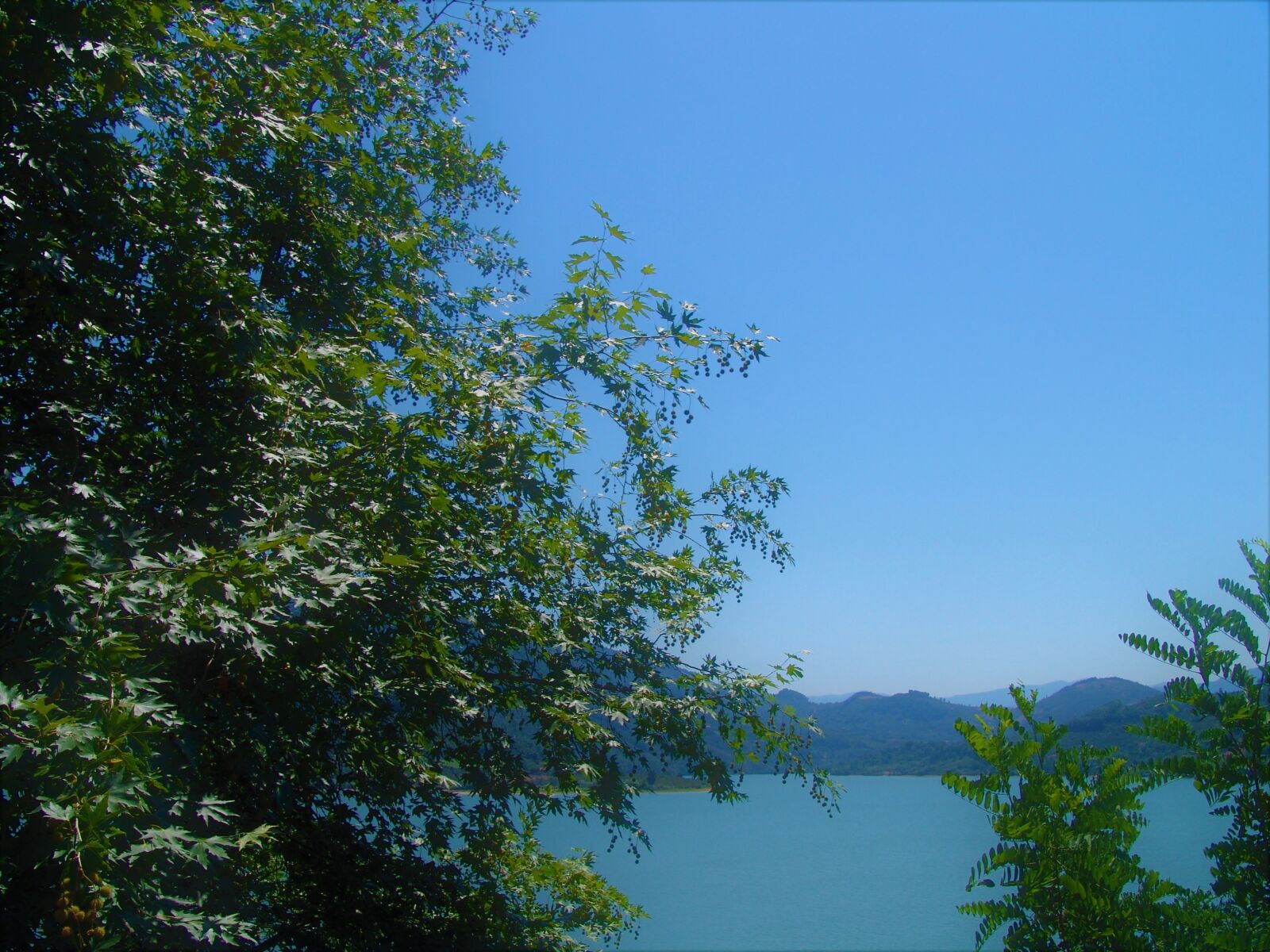 Sony DSC-F828 sample photo. Landscape, nature, lake photography