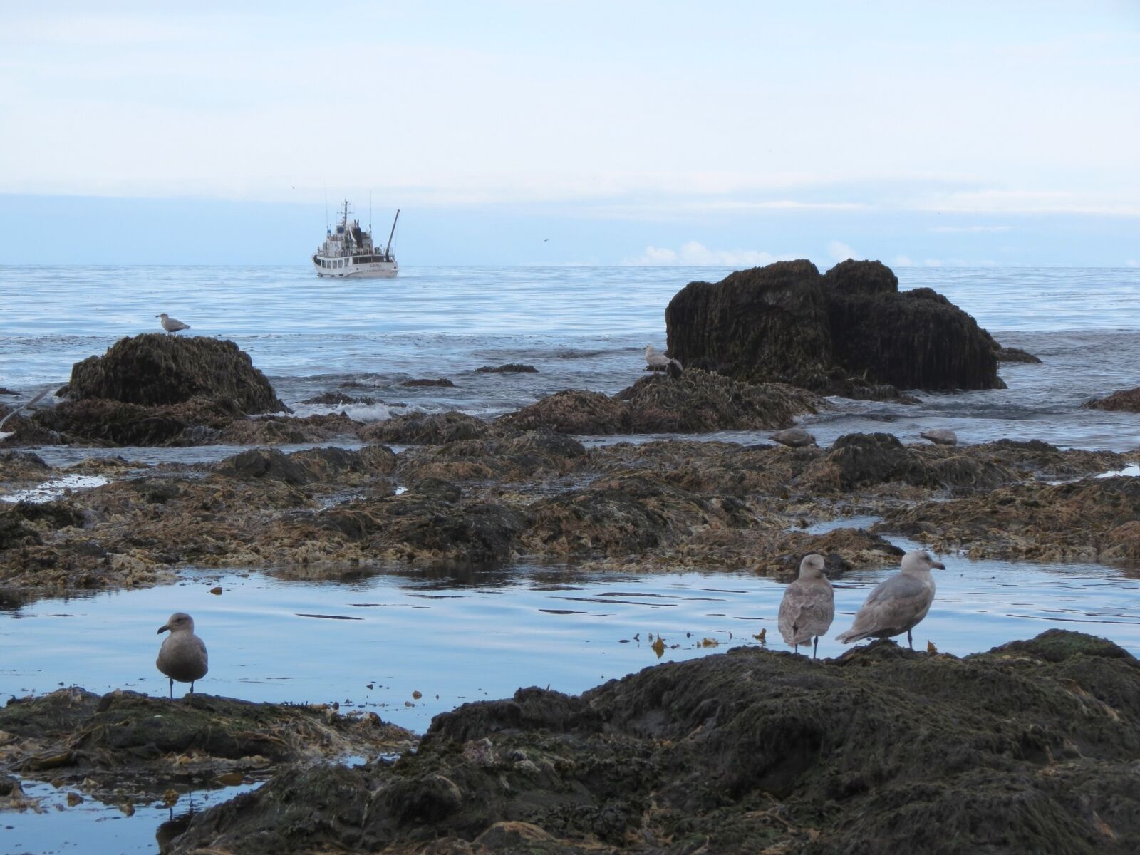 Canon PowerShot SX40 HS sample photo. Bay, ocean, beach photography