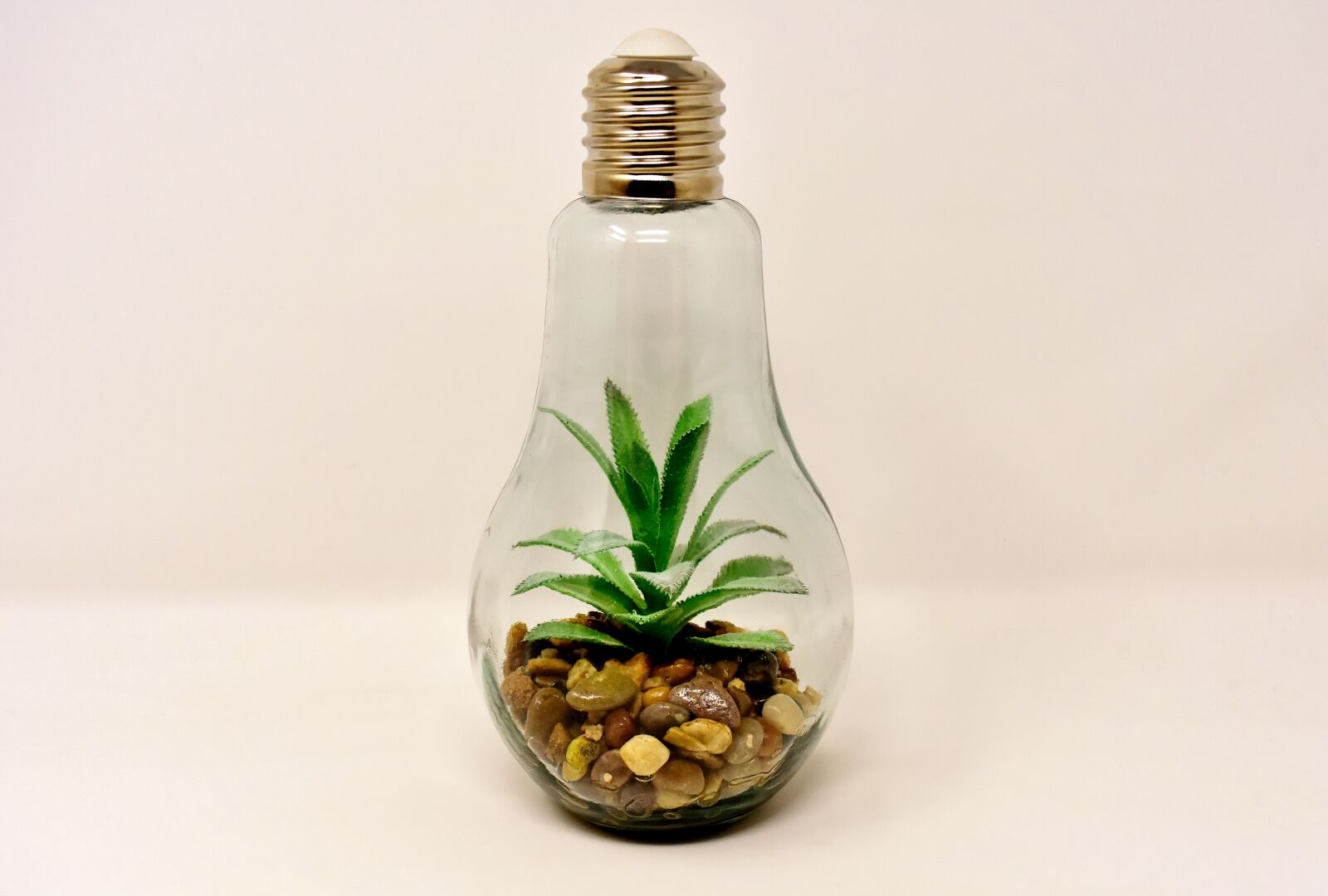 Nikon D7200 sample photo. Light bulb, plant, stones photography