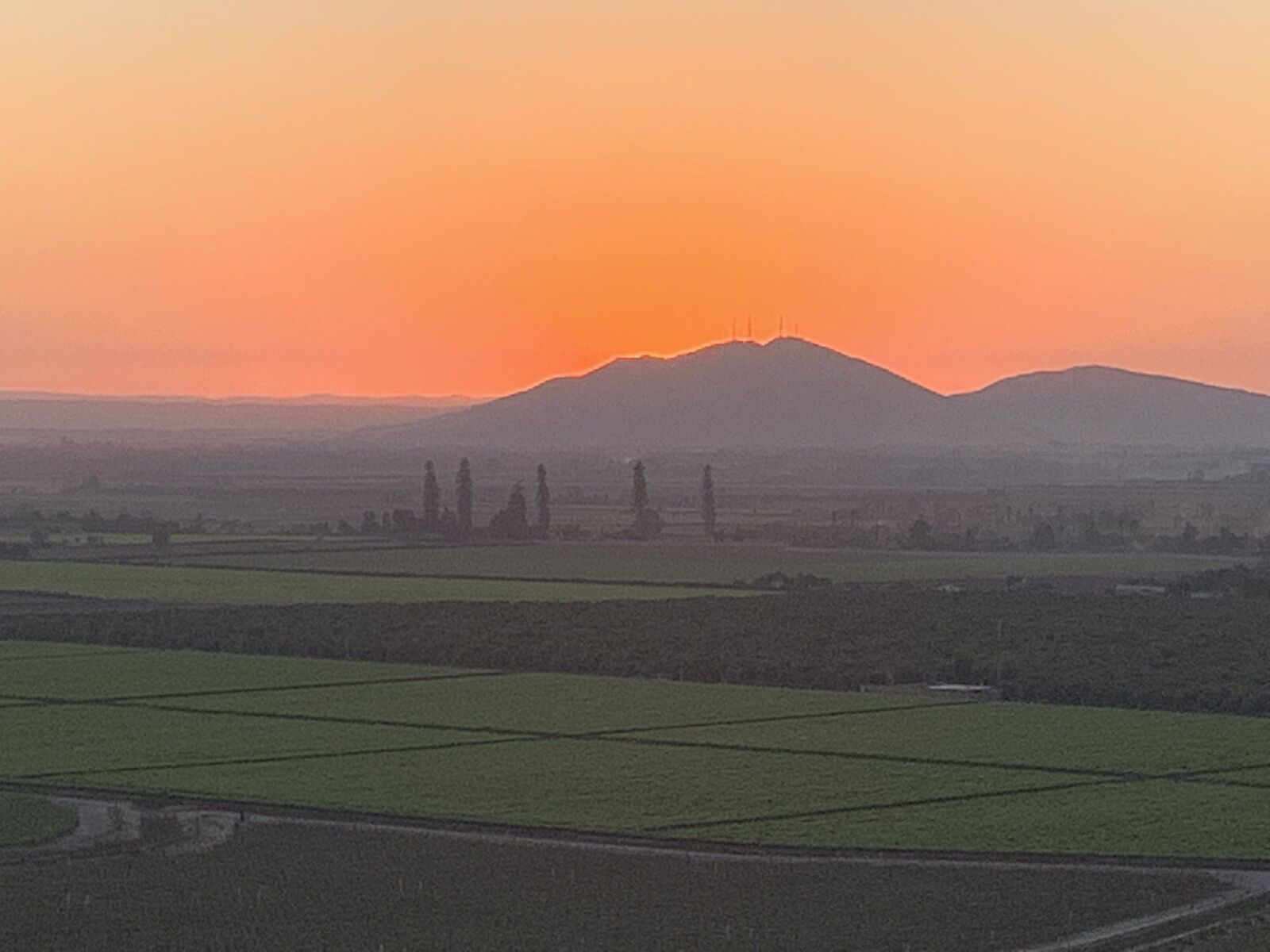 Apple iPhone XR sample photo. Vineyard, mountains, sunset photography