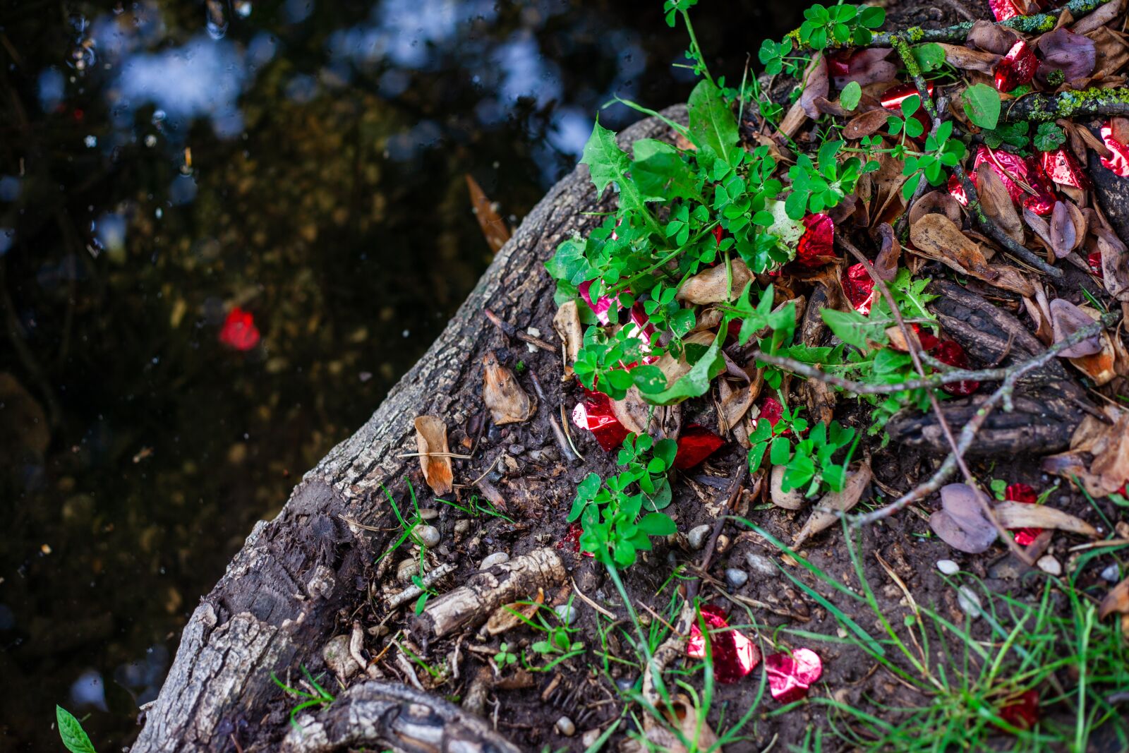 Canon EF 50mm F1.8 II sample photo. Plastic confetti, confetti, plastic photography