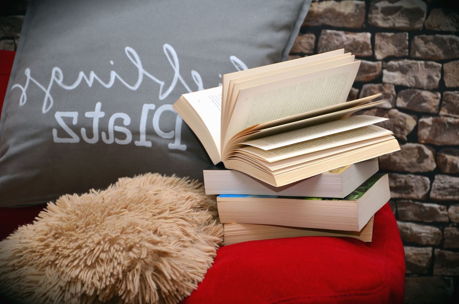 Nikon D5100 sample photo. Wall, brick, book, pillow photography
