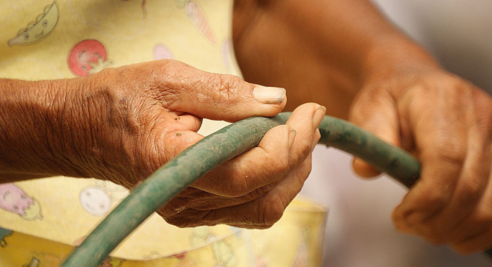 Sony Alpha DSLR-A390 sample photo. Laborious hands, age, adults photography
