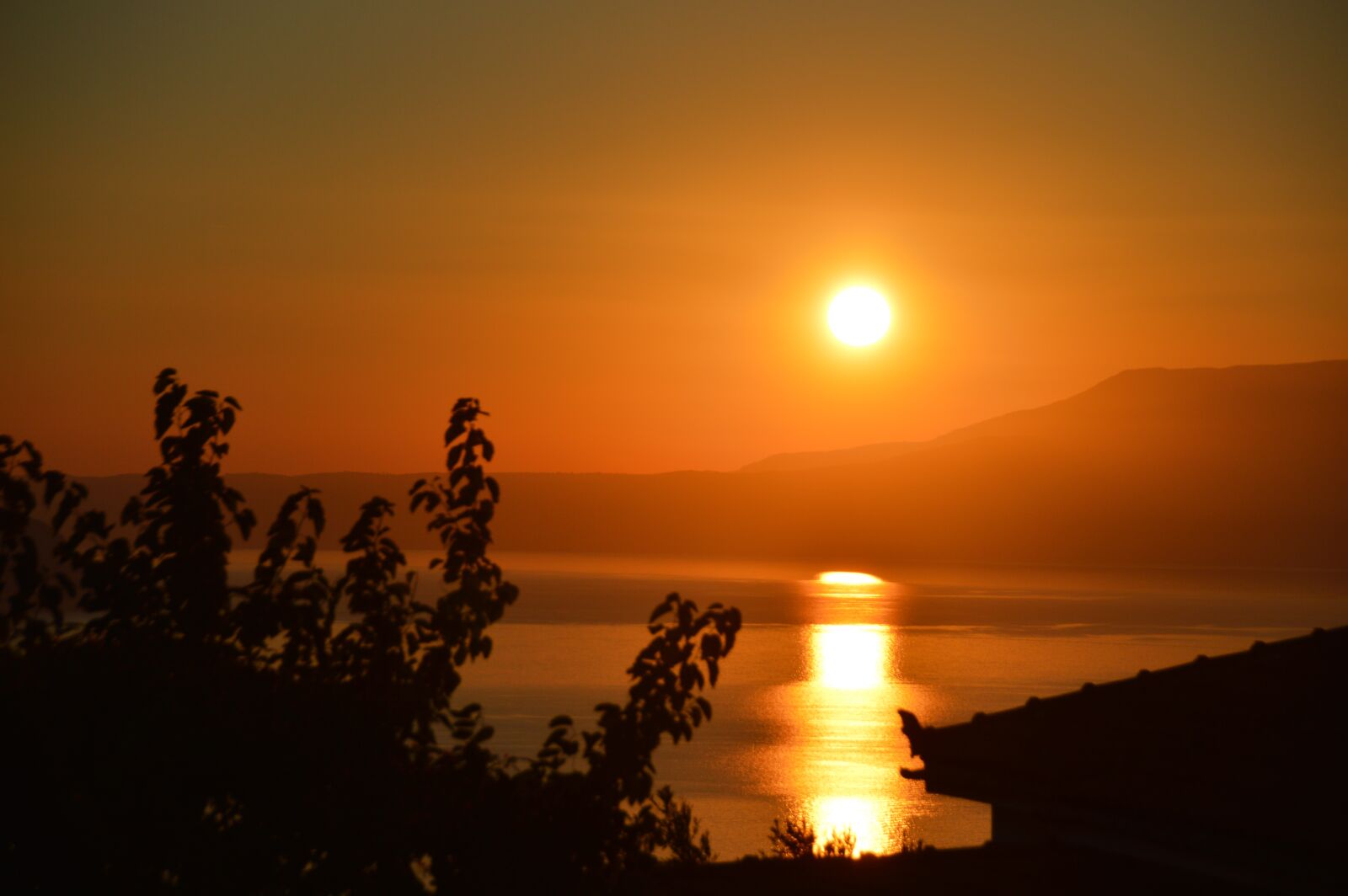 Nikon D3200 sample photo