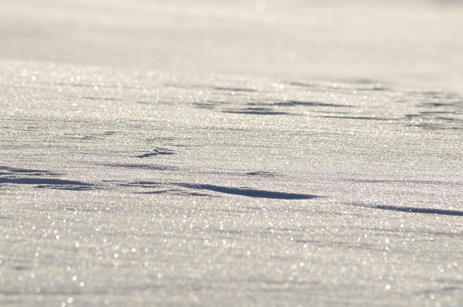 Nikon D90 sample photo. Winter, snow, white photography