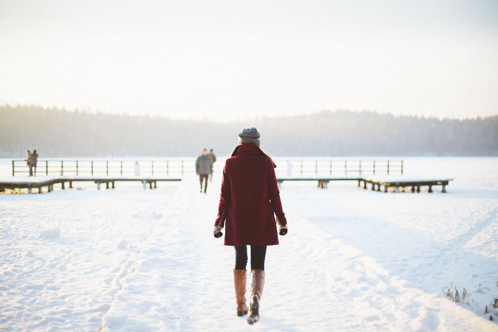 Canon EOS 6D + Canon EF 50mm F1.8 II sample photo. Winter, snow, frozen, cold photography