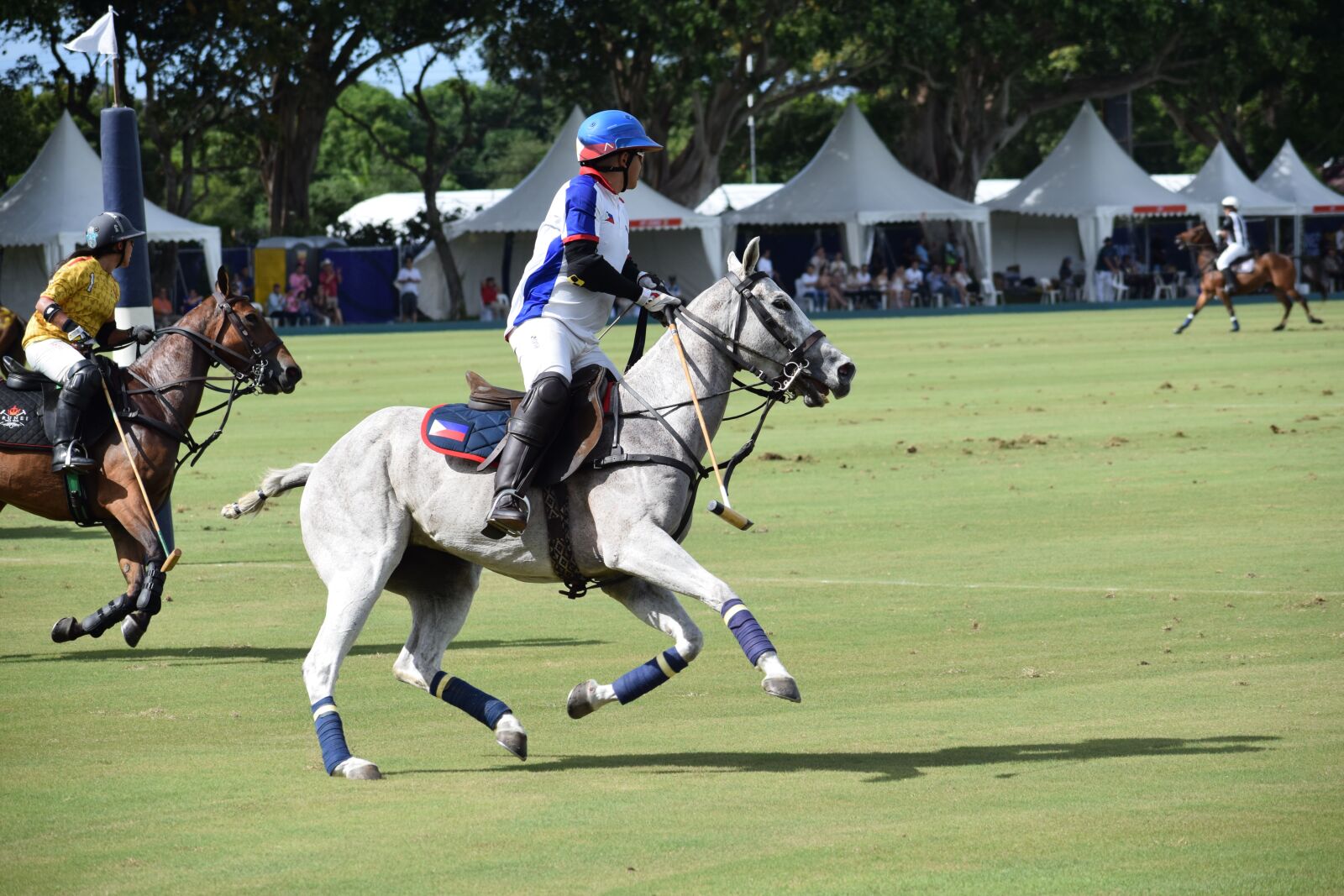 Nikon D5300 sample photo. Polo, horses, sport photography