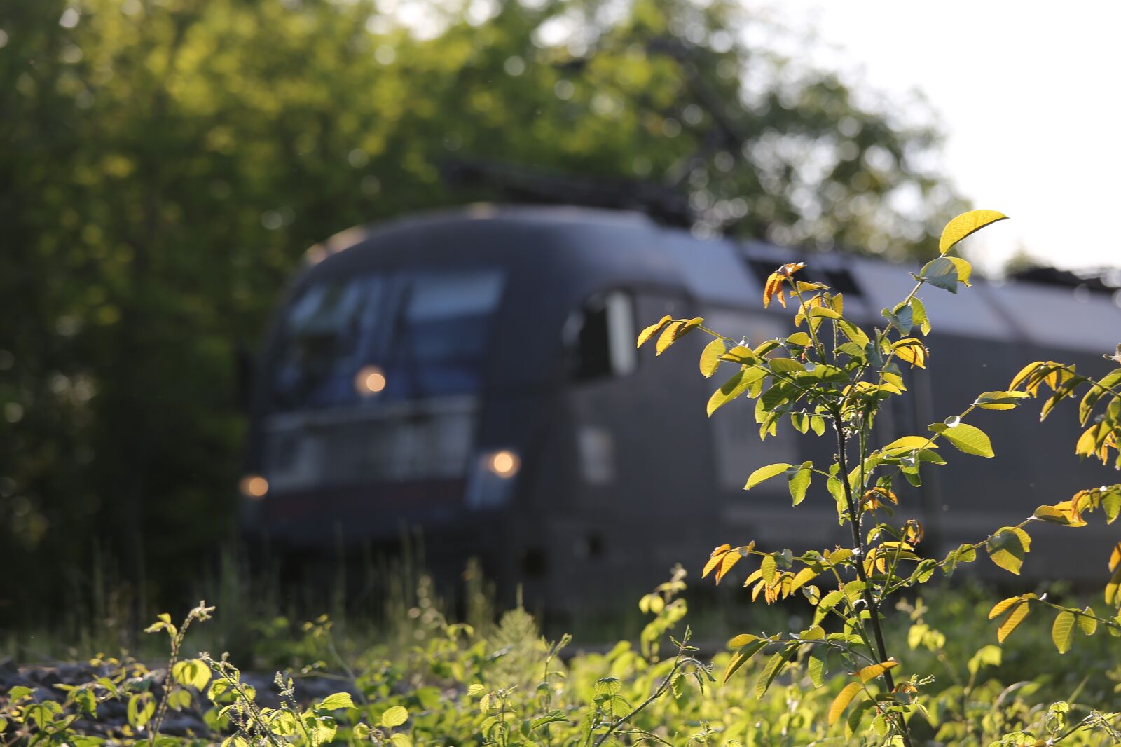 Canon EF 70-200mm F4L IS USM sample photo. Locomotive, train, lights photography