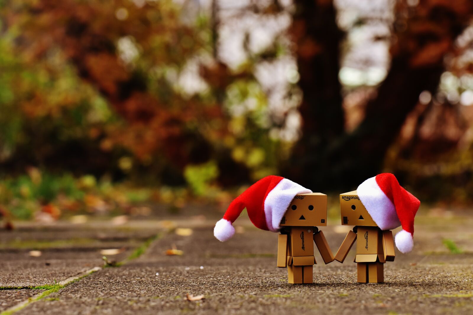 Nikon D7200 sample photo. Danbo, christmas, figure photography