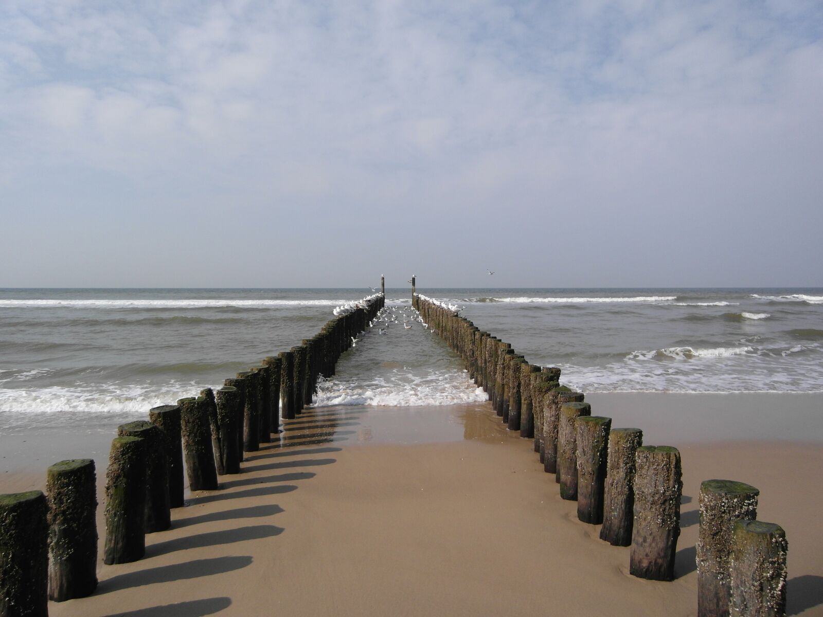 Samsung WB2000 sample photo. Domburg, sea, zeeland photography