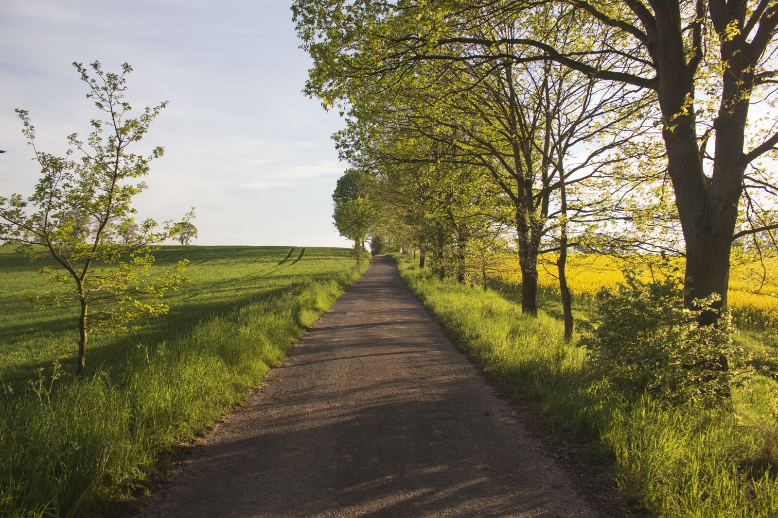 Canon EOS 700D (EOS Rebel T5i / EOS Kiss X7i) sample photo. The polish roads, rural photography