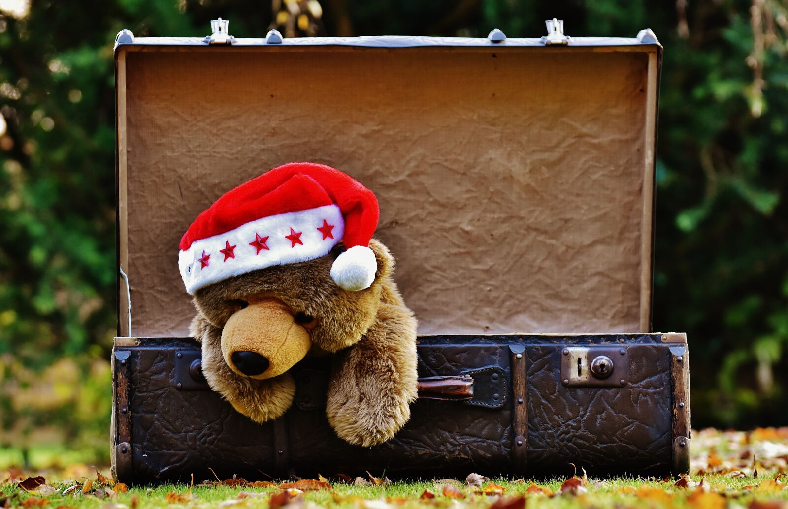 Nikon D7200 sample photo. Christmas, luggage, antique photography