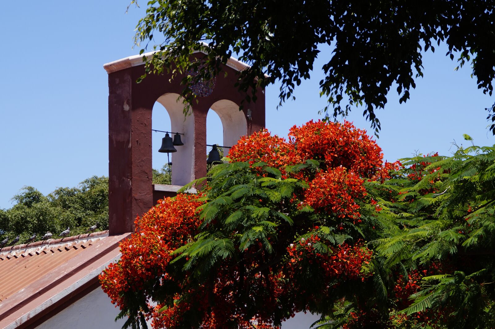 Sony SLT-A58 sample photo. Church, spain, tenerife photography