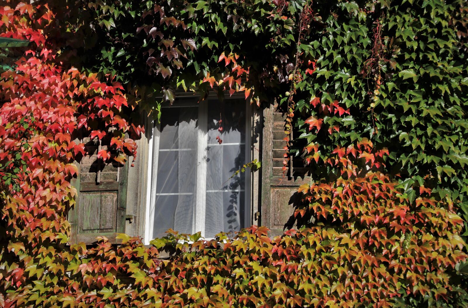 Canon EOS 80D sample photo. Window, autumn, attic photography