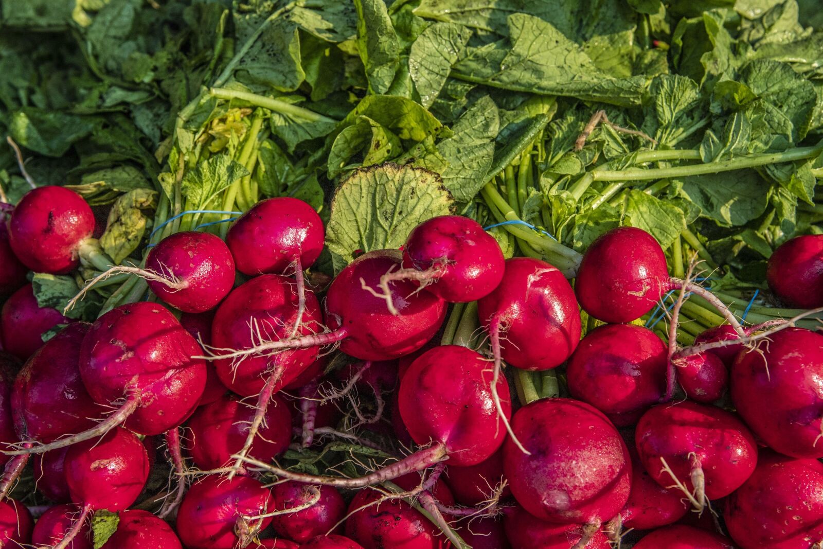 Nikon D5 sample photo. Market, vegetables, beets photography