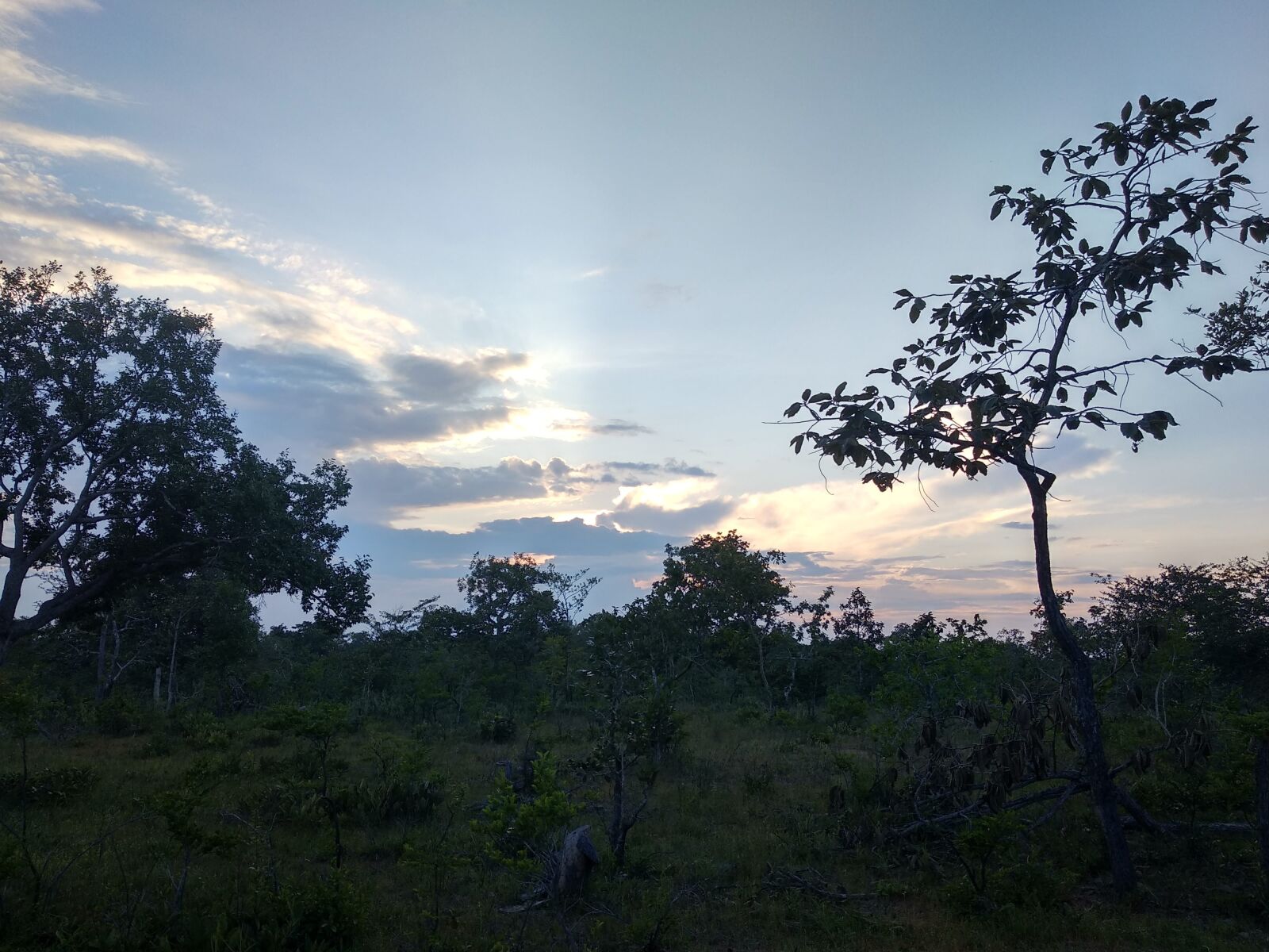 Xiaomi Mi A1 sample photo. Landscape, cambodia, nature photography