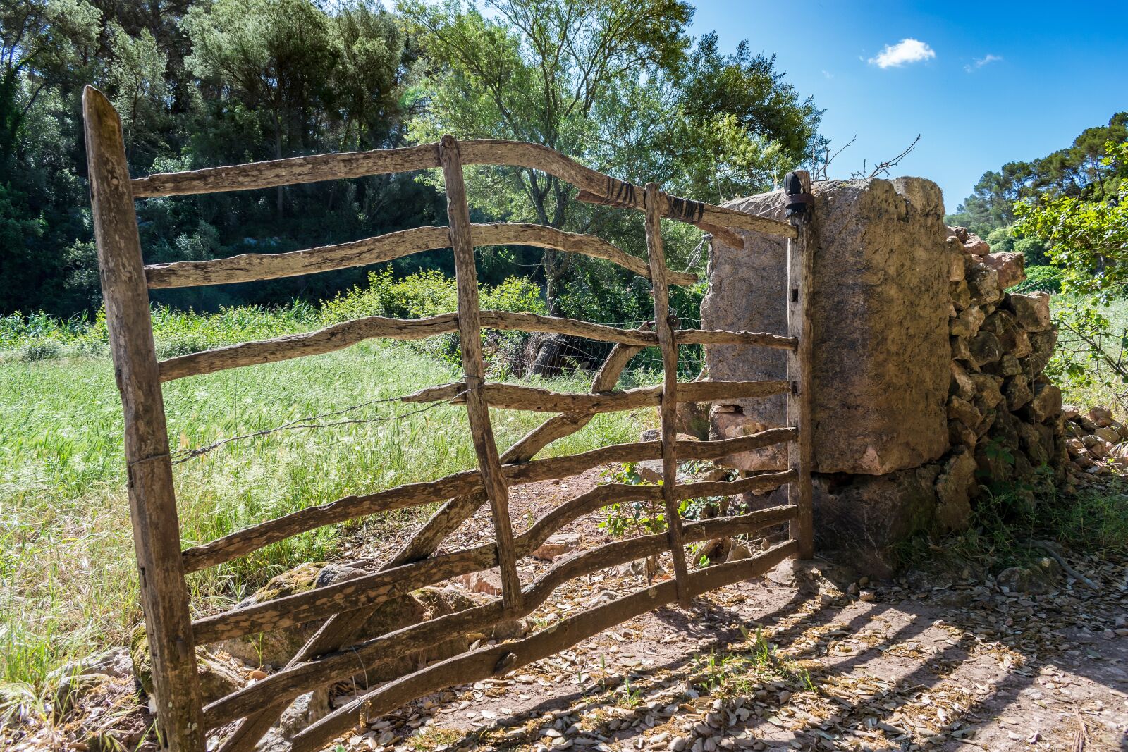 Nikon D3300 sample photo. Gate, rustic, old photography