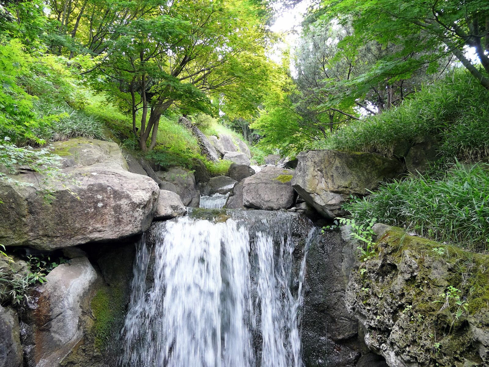 Panasonic DMC-FZ18 sample photo. Nature, trees, waterfall photography