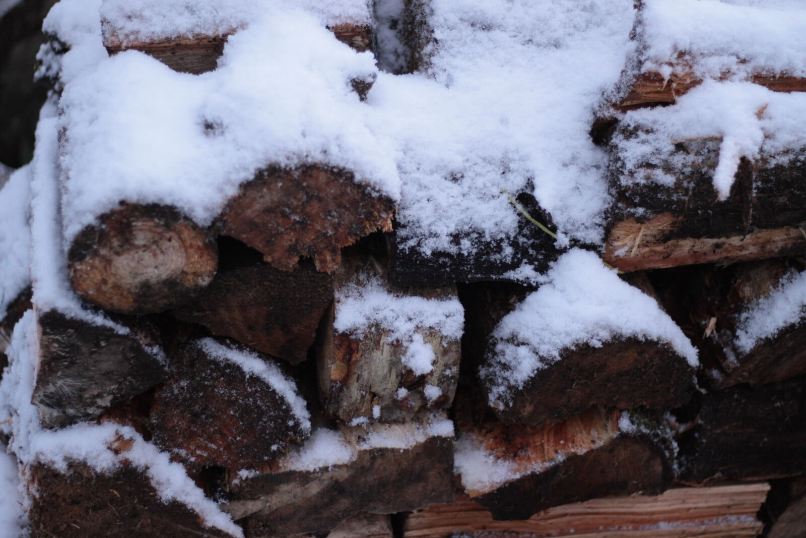 Canon EOS 50D + Canon EF 50mm F1.8 STM sample photo. Log, pile, snow, covered photography