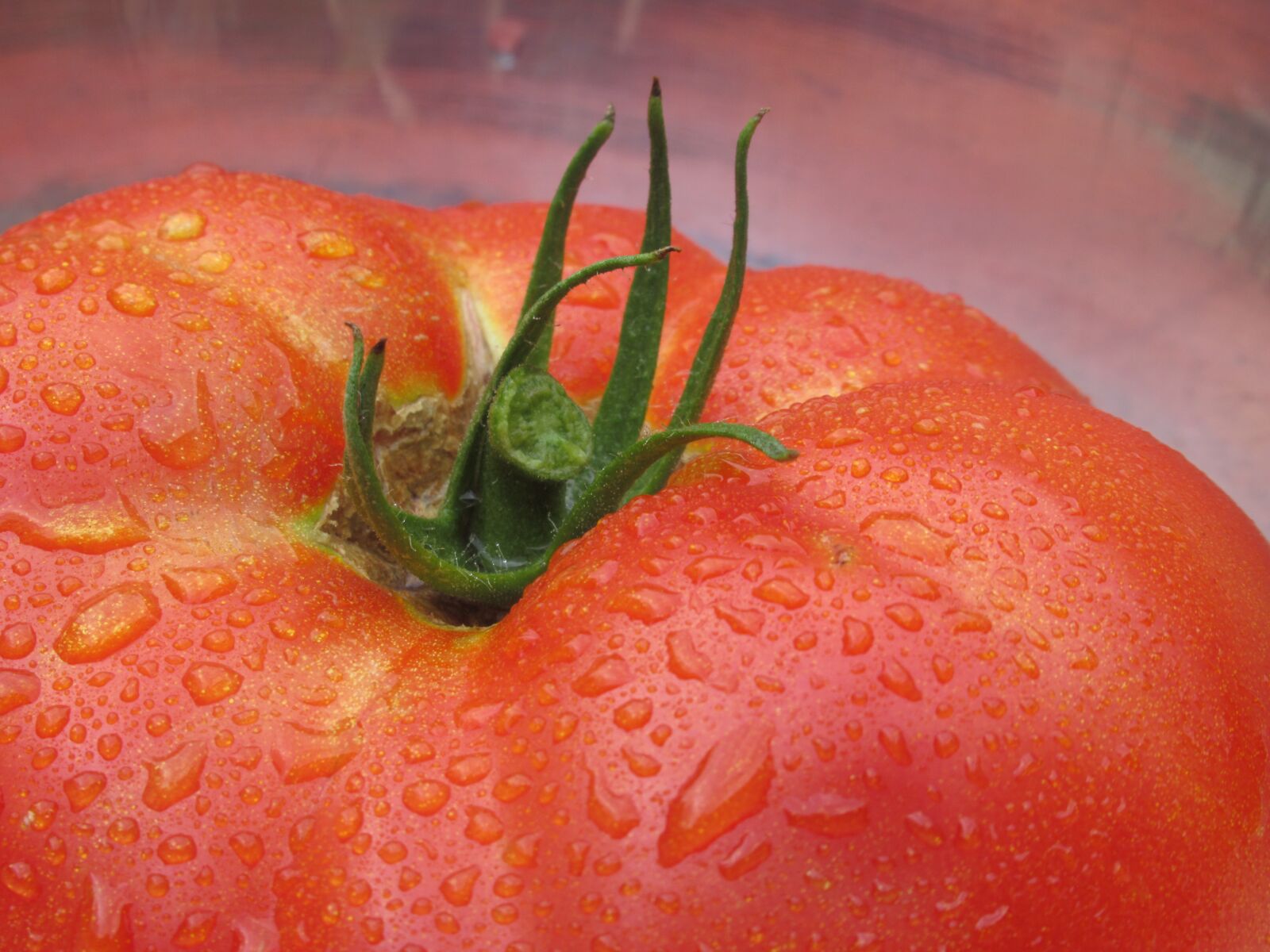 Canon PowerShot SX620 HS sample photo. Tomato, tomatoes, vegetables photography