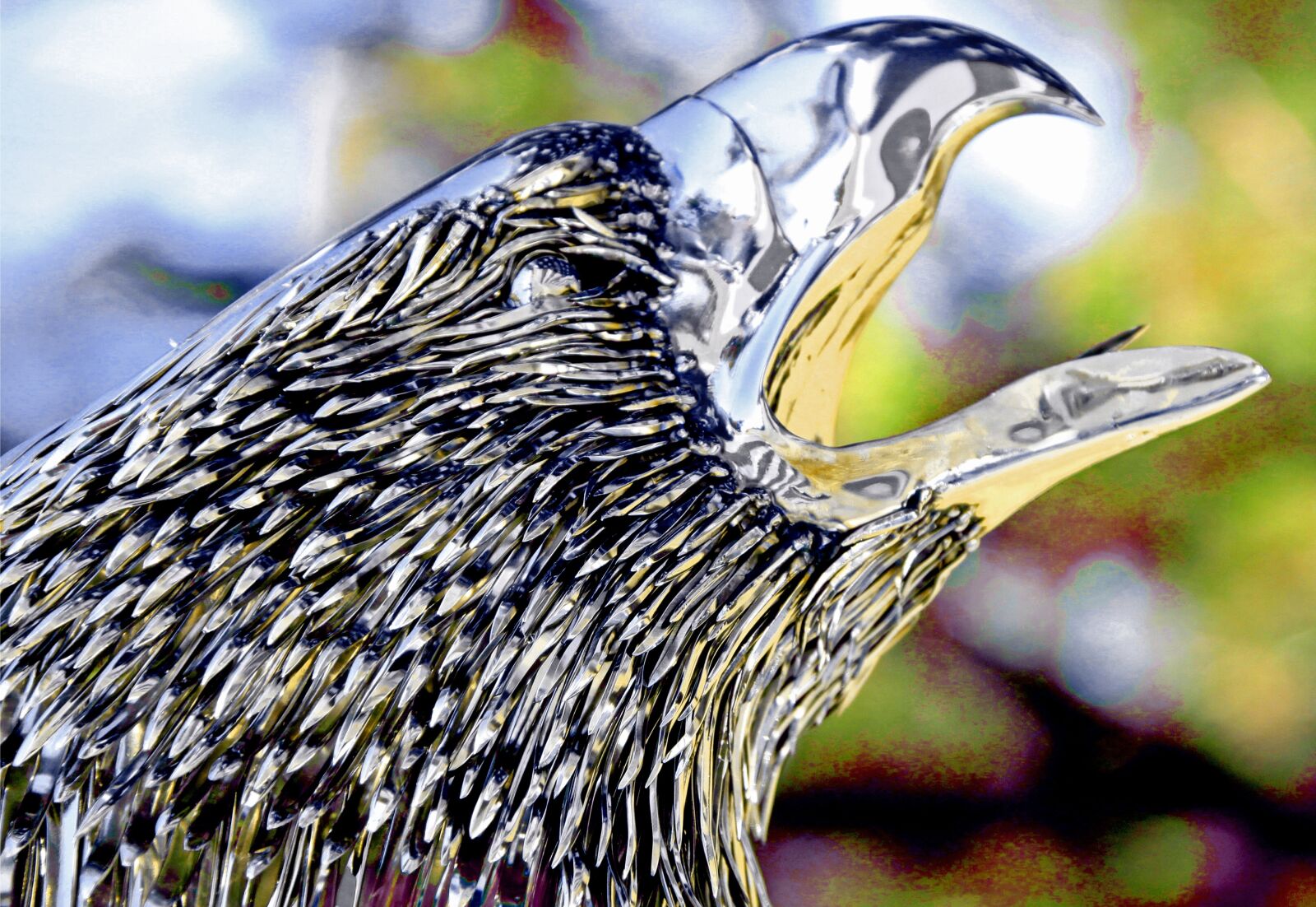 Canon EOS 50D sample photo. Steve nielsen, art, artist photography