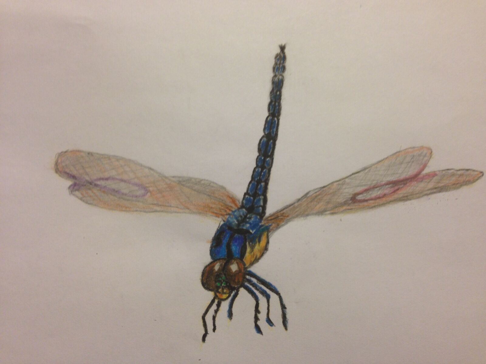 Apple iPhone 5 sample photo. Dragonfly, tattoo pattern, ribbon photography