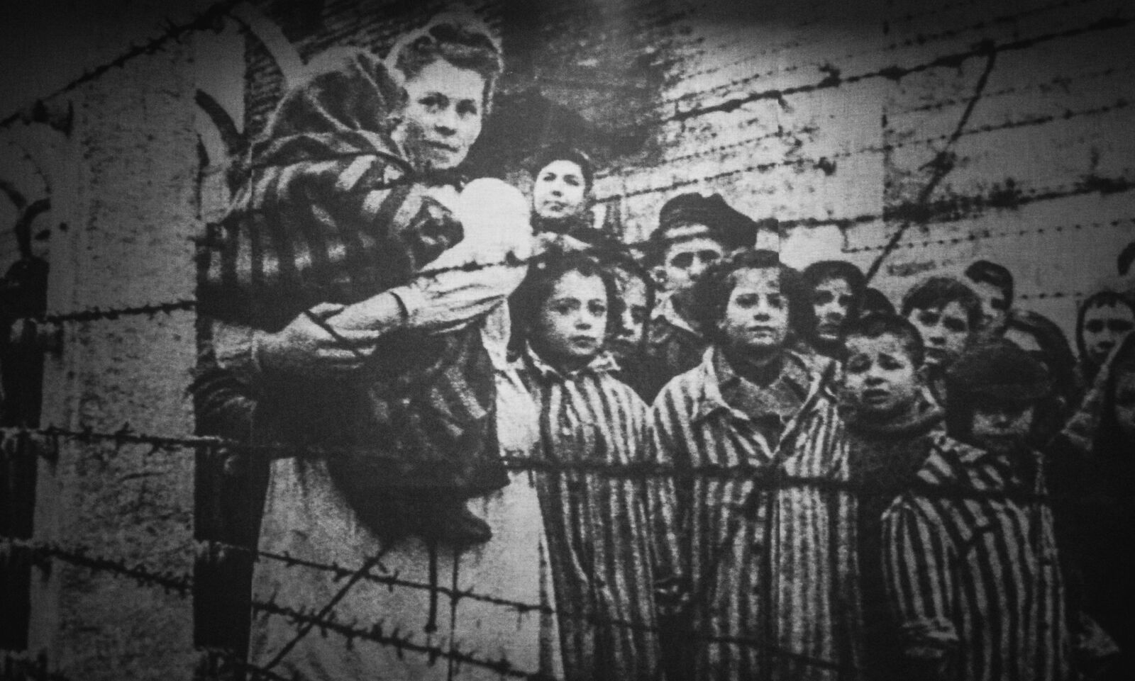 Nikon D3300 sample photo. Auschwitz, concentration camp, photograph photography
