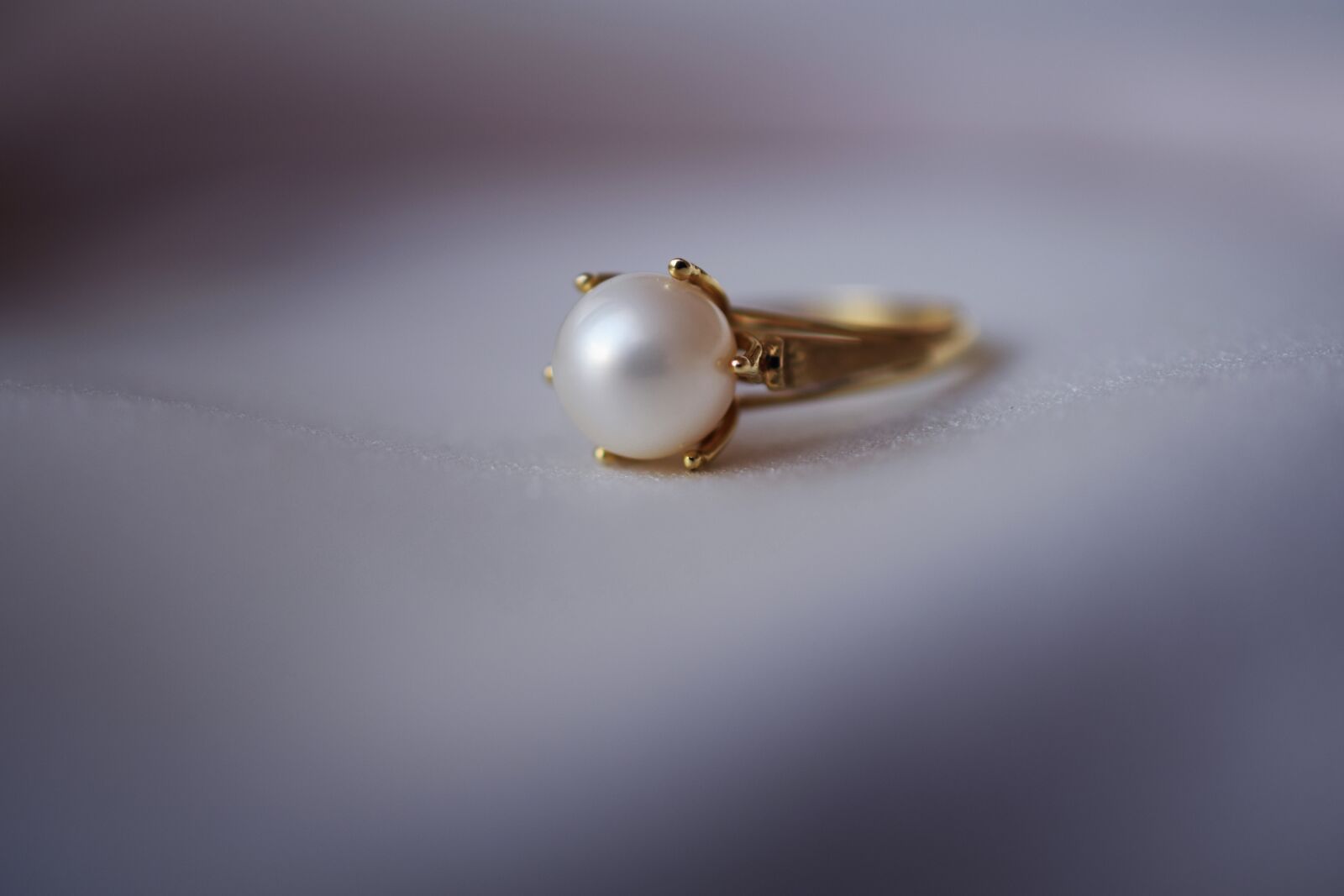 Nikon D5300 sample photo. Ring, closeup, white photography