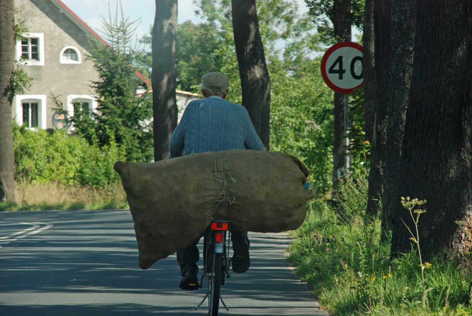 Nikon D80 sample photo. Bicycle, transport, bag photography