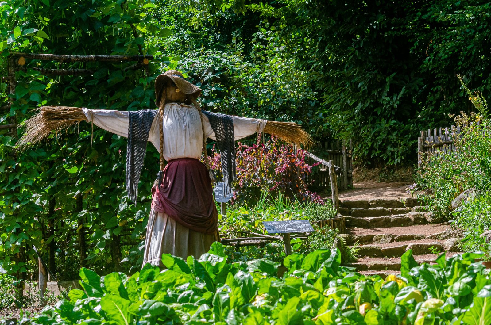 Nikon D7000 sample photo. Garden, scarecrow, chard photography