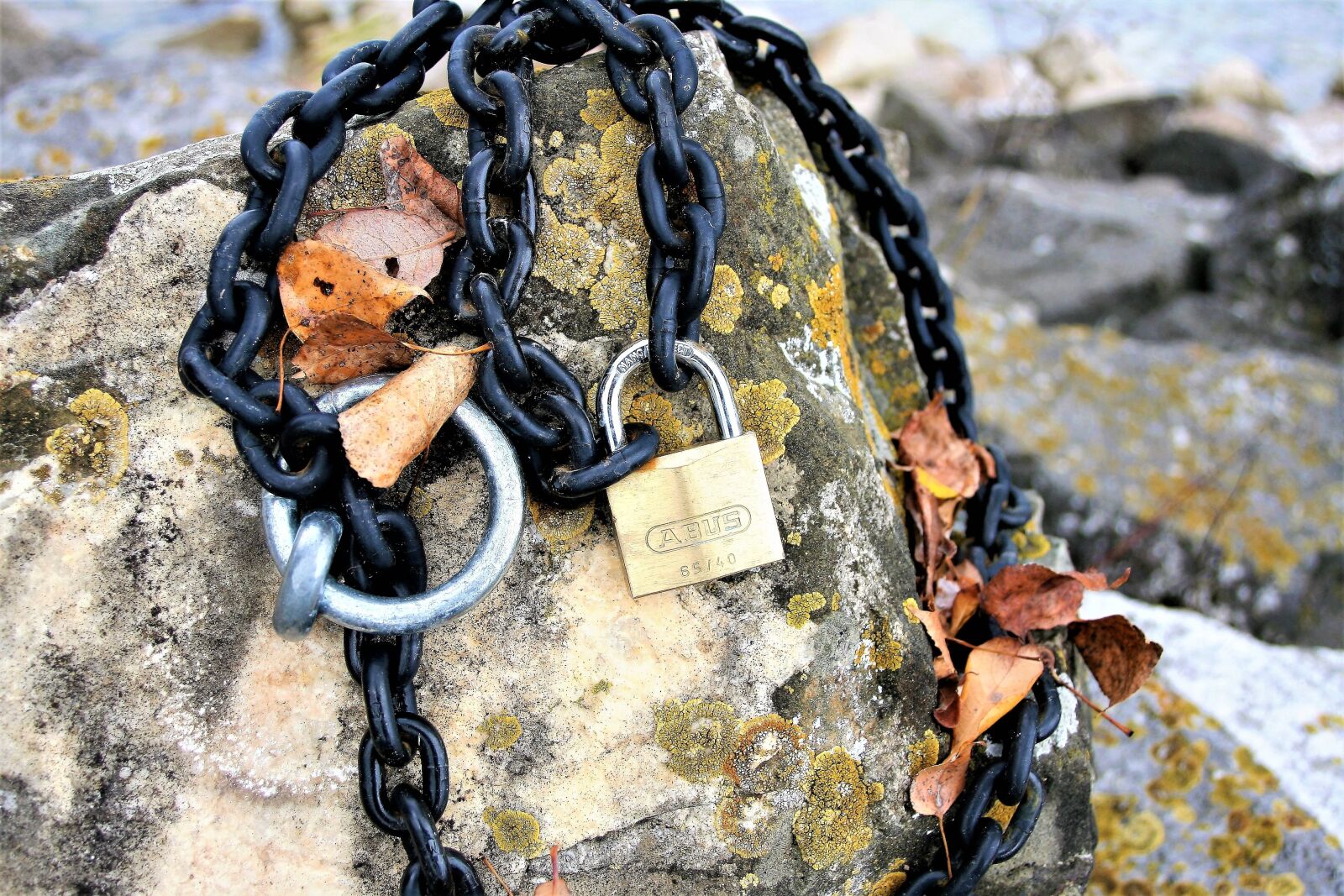 Canon EOS 400D (EOS Digital Rebel XTi / EOS Kiss Digital X) sample photo. Chain, closed, by wlodek photography