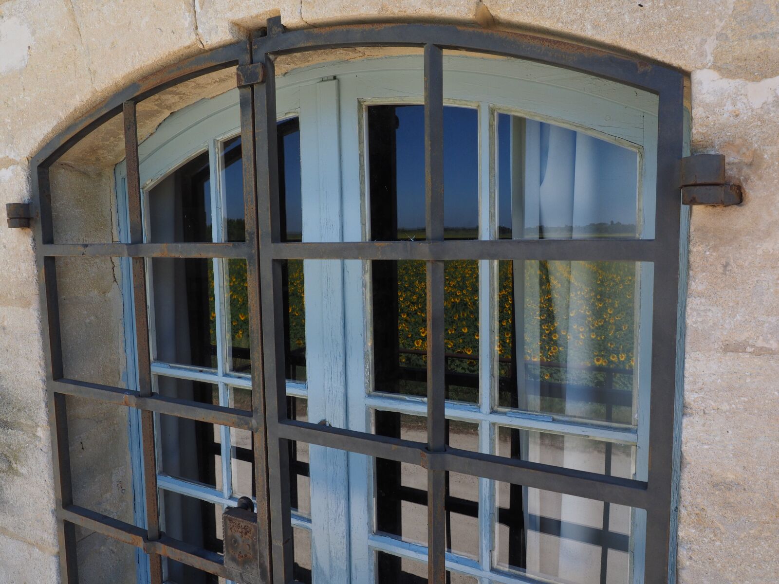 Olympus OM-D E-M1 + Olympus M.Zuiko Digital ED 12-40mm F2.8 Pro sample photo. Window, grate, protected photography