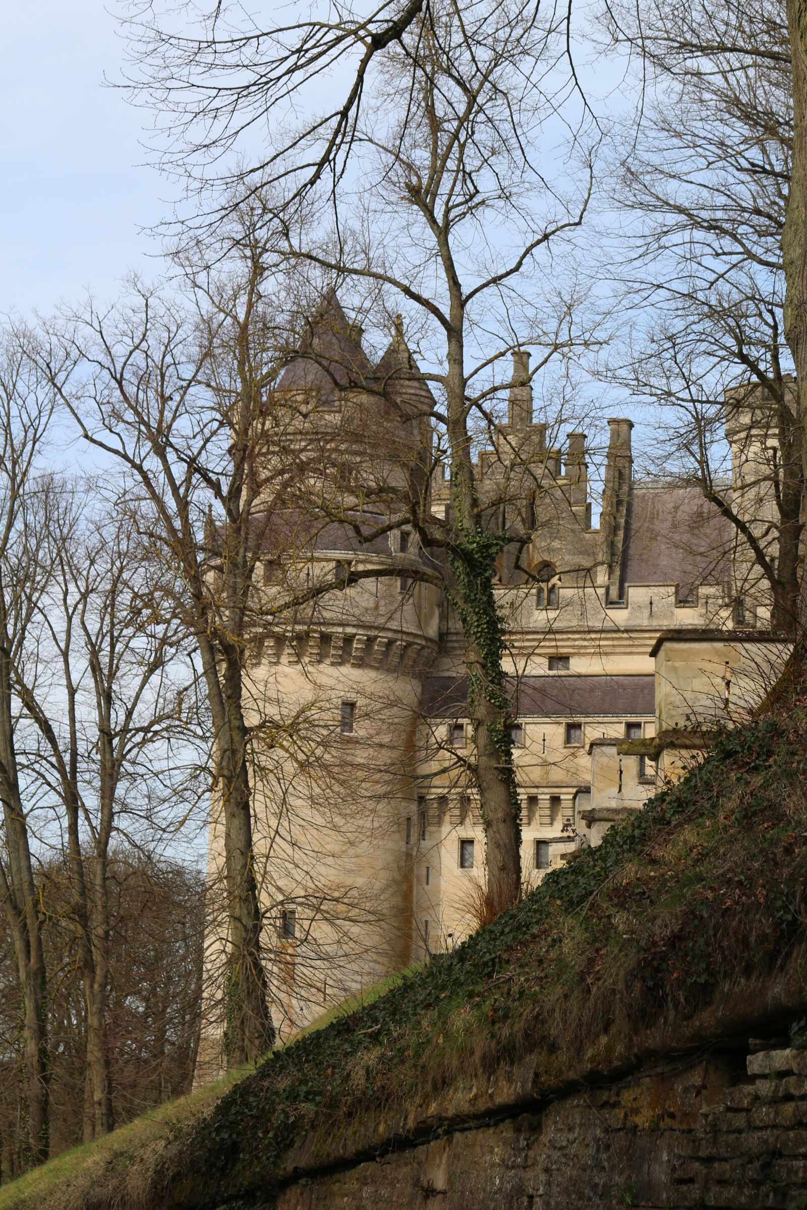 Canon EOS 100D (EOS Rebel SL1 / EOS Kiss X7) sample photo. Tree, castle, landscape photography