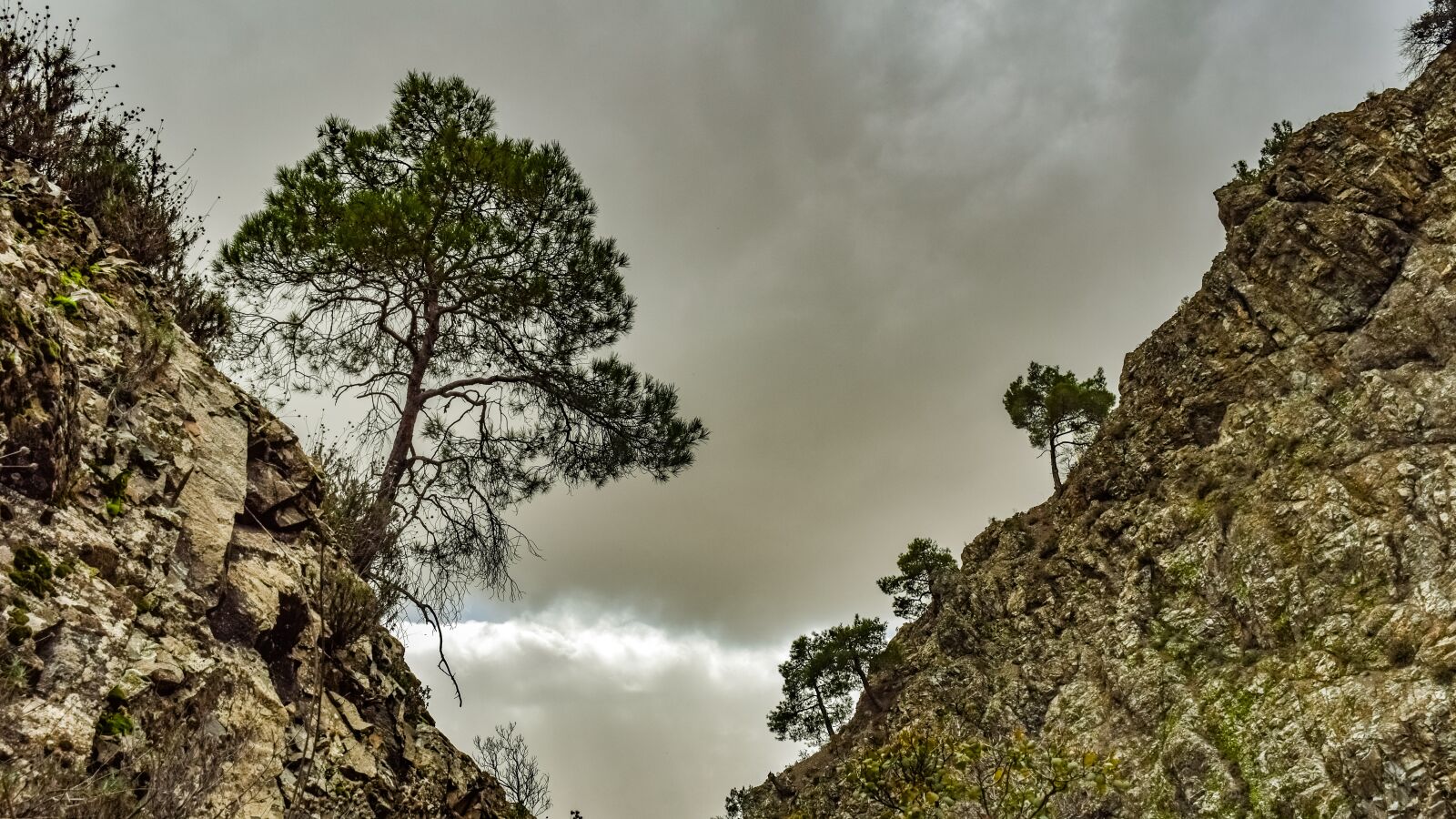 Nikon D3300 sample photo. Trees, mountain, gorge photography