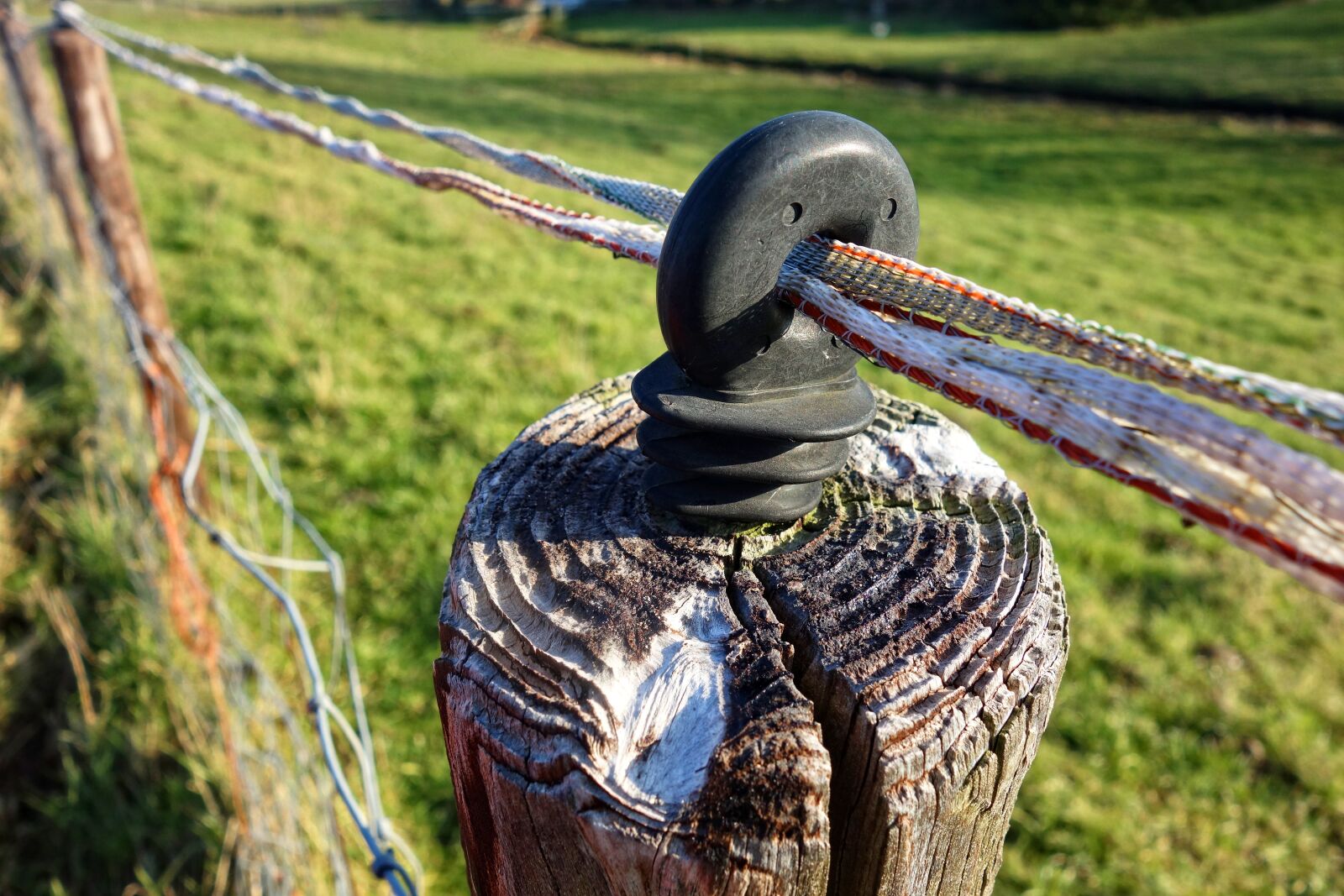 Sony Cyber-shot DSC-RX100 sample photo. Electrical insulator, rubber insulator photography