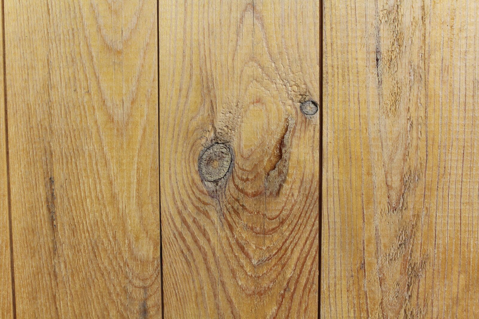 Canon EOS 600D (Rebel EOS T3i / EOS Kiss X5) sample photo. Texture, boards, tree photography