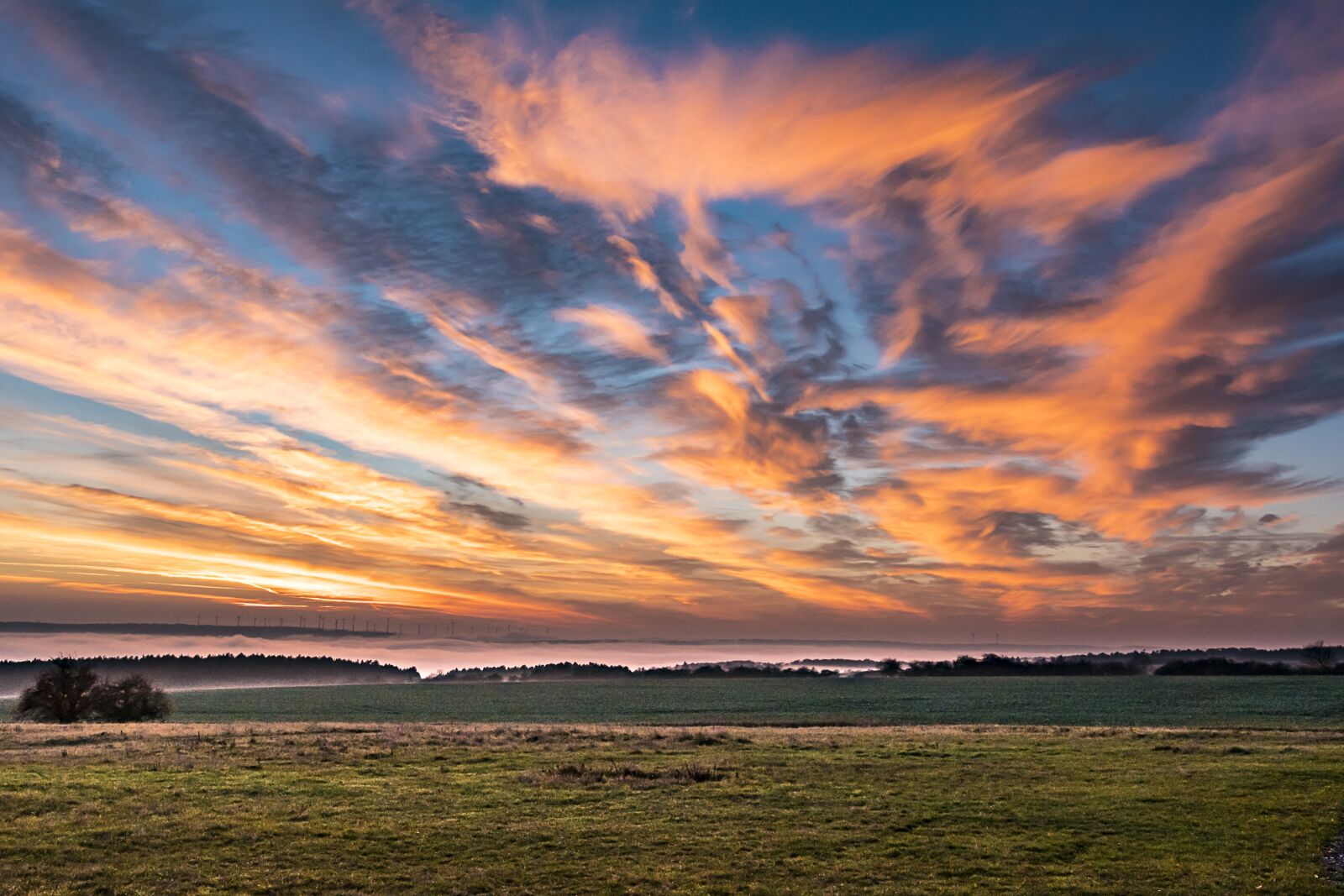 Nikon D500 sample photo. Landscape, fog, sky photography