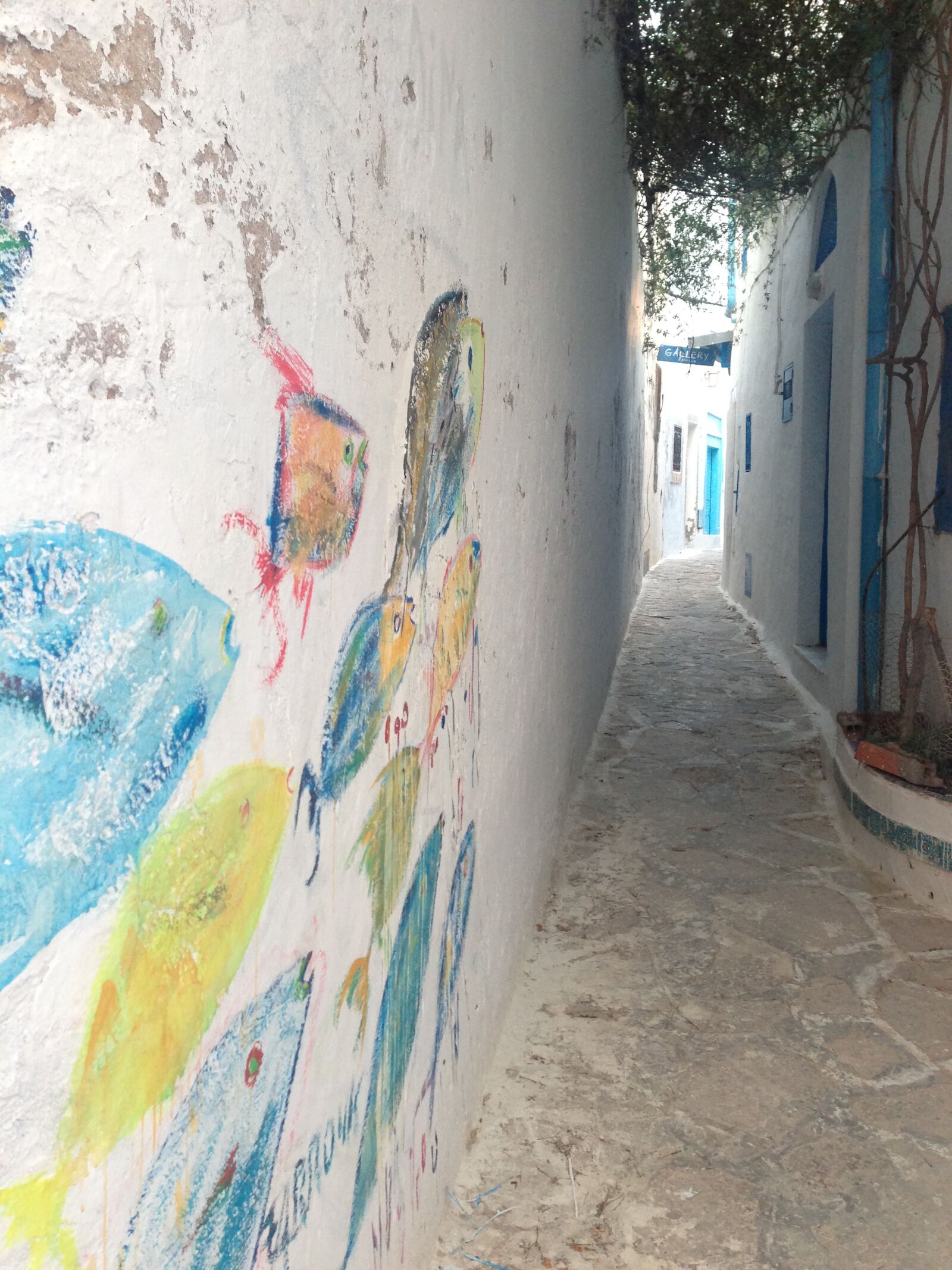 iPhone 5 back camera 4.12mm f/2.4 sample photo. Hammamet, medina, wall photography