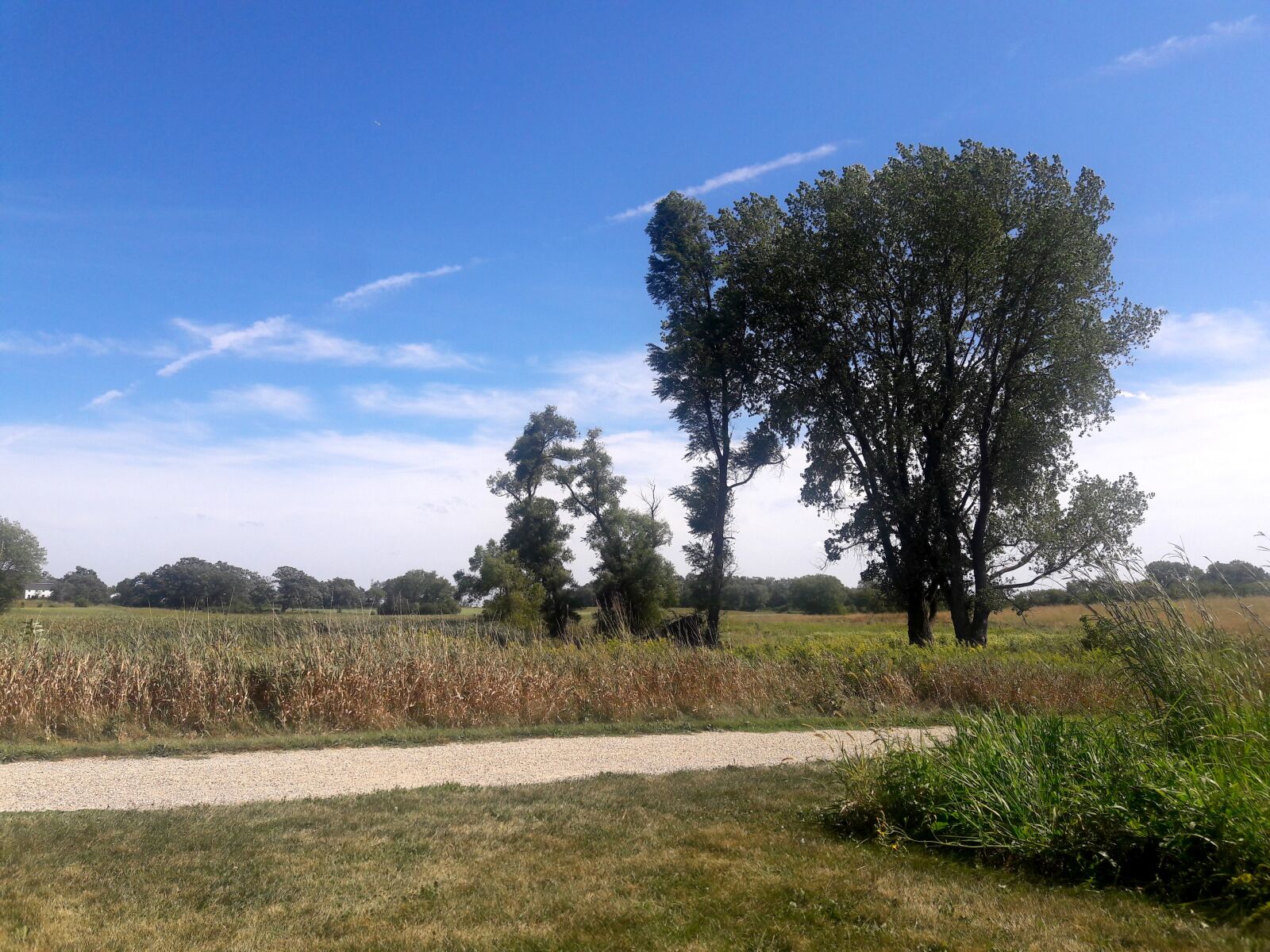 Samsung Galaxy J8 sample photo. Illinois prairie, summer prairie photography
