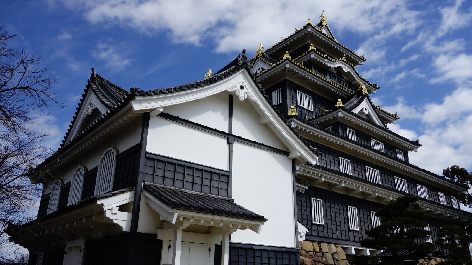 Sony Cyber-shot DSC-RX100 sample photo. Japan, sengoku, castle photography