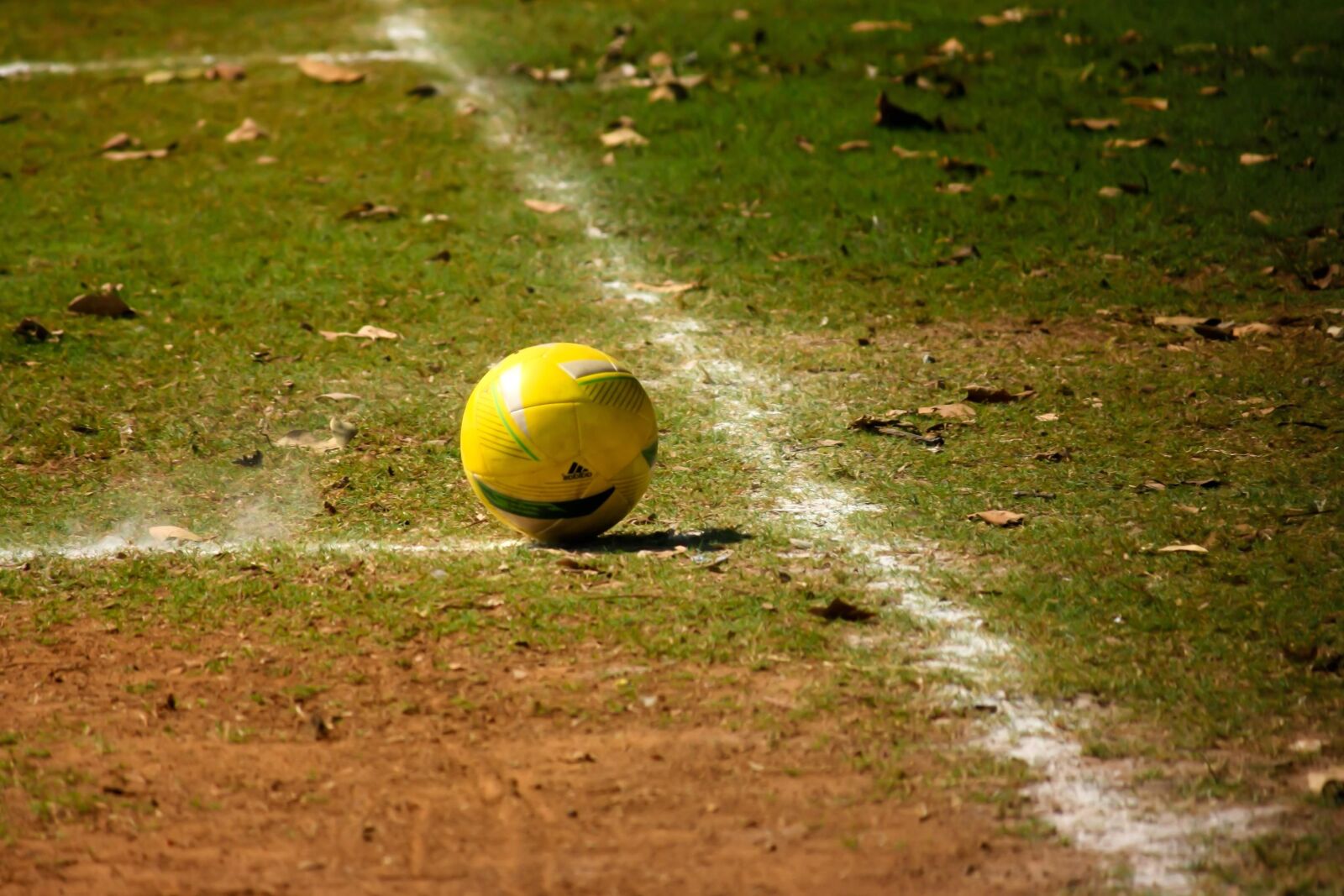 Canon EOS 1000D (EOS Digital Rebel XS / EOS Kiss F) sample photo. Football, sport, grass, soccer photography