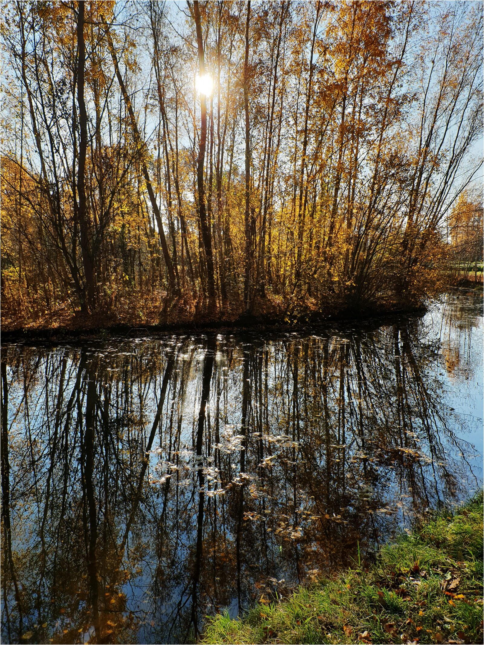 Samsung Galaxy S9 sample photo. Water, trees, sun photography