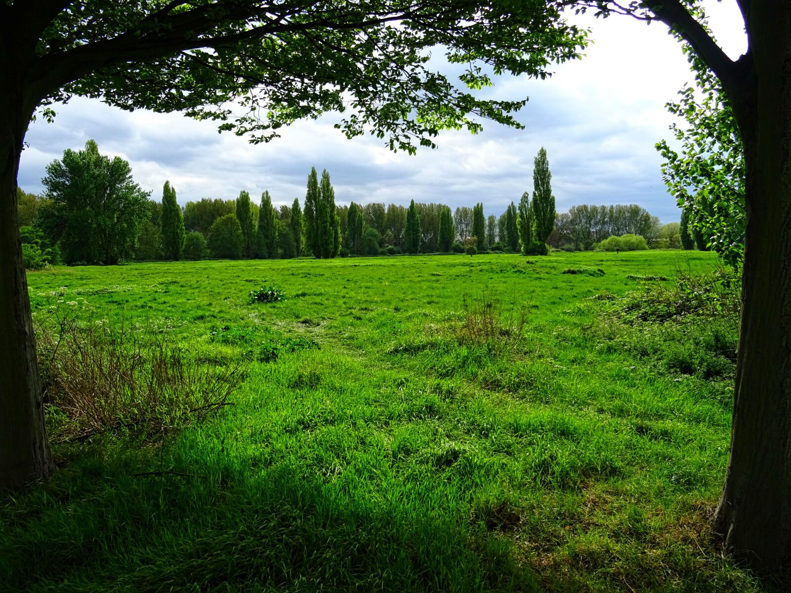 Sony DSC-HX60 sample photo. Clouds, country, countryside, daylight photography