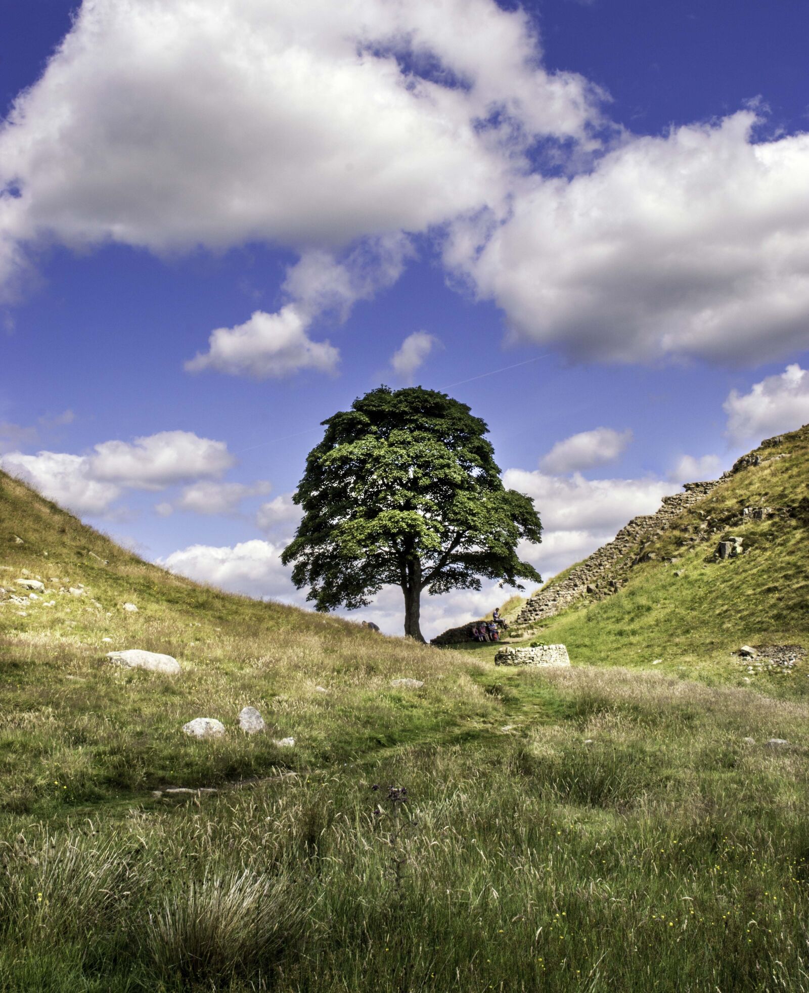 Nikon D3200 sample photo. Sycamore gap, robin hood photography