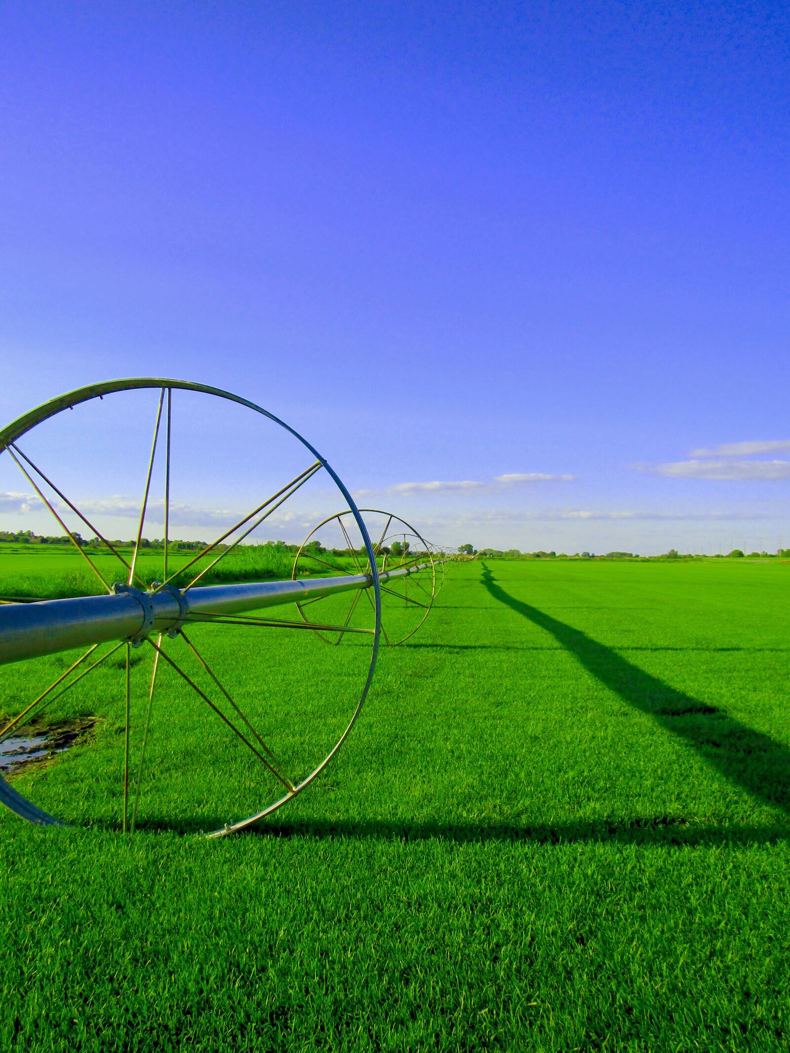 Canon PowerShot SX410 IS sample photo. Field, farm, color photography